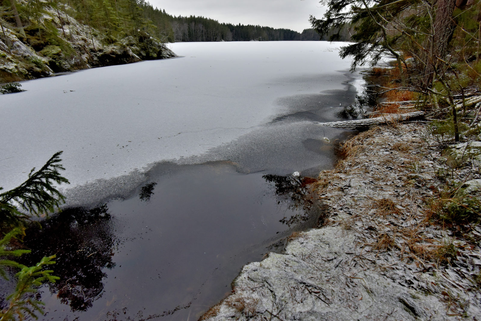 Valokuvaaja: Reijo Juurinen