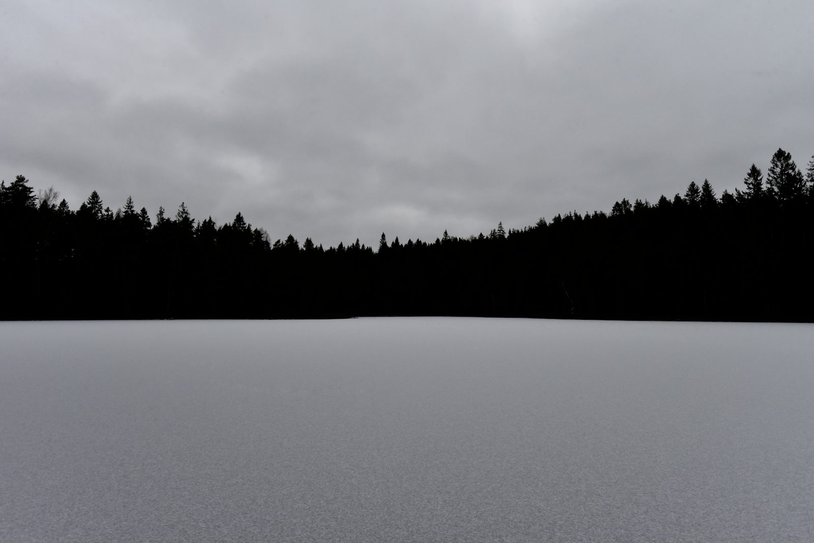 Valokuvaaja: Reijo Juurinen