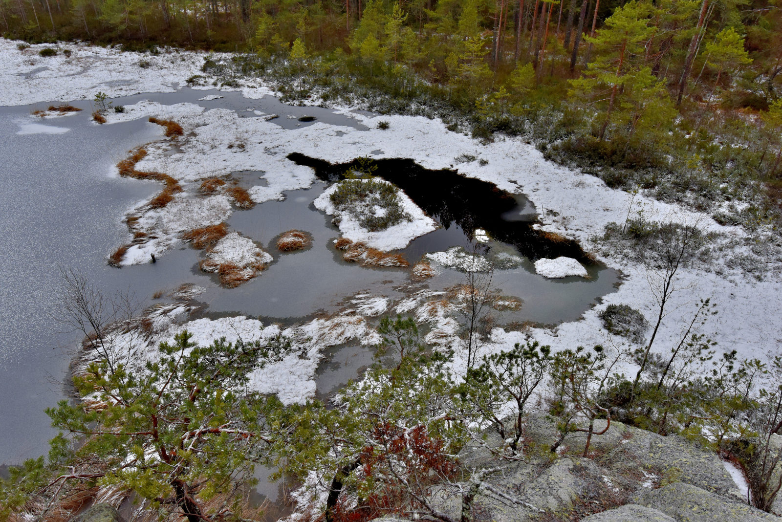 Valokuvaaja: Reijo Juurinen