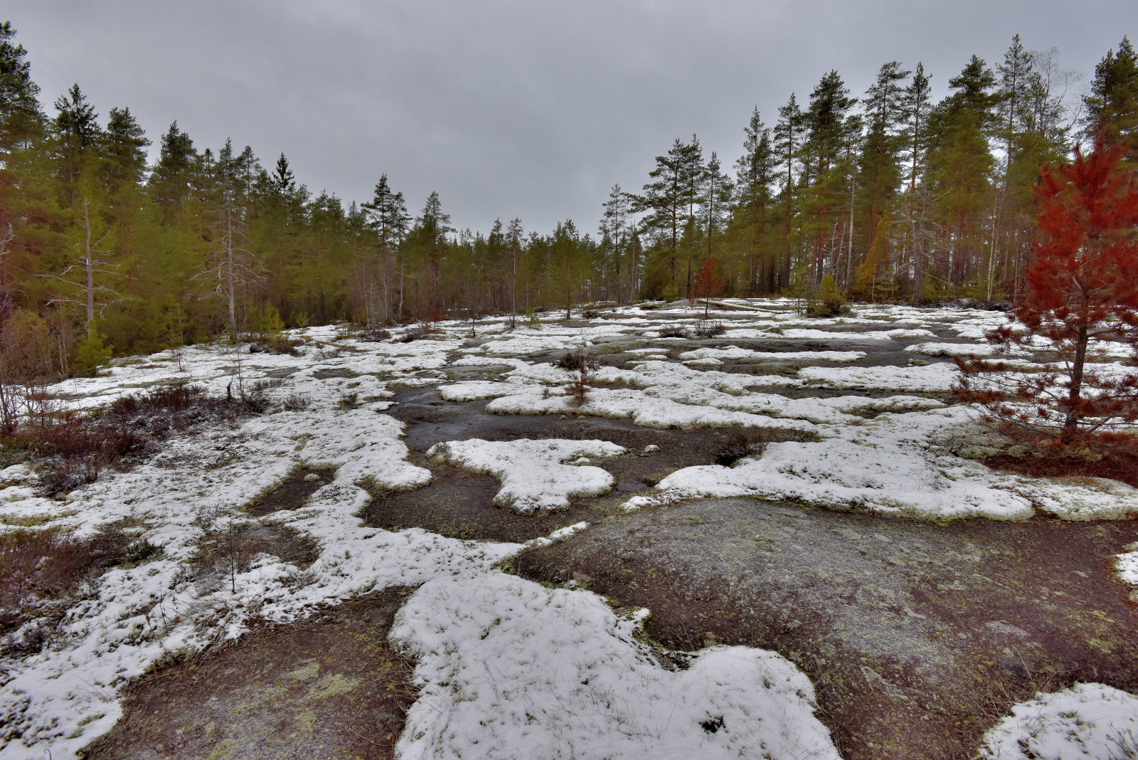 Valokuvaaja: Reijo Juurinen