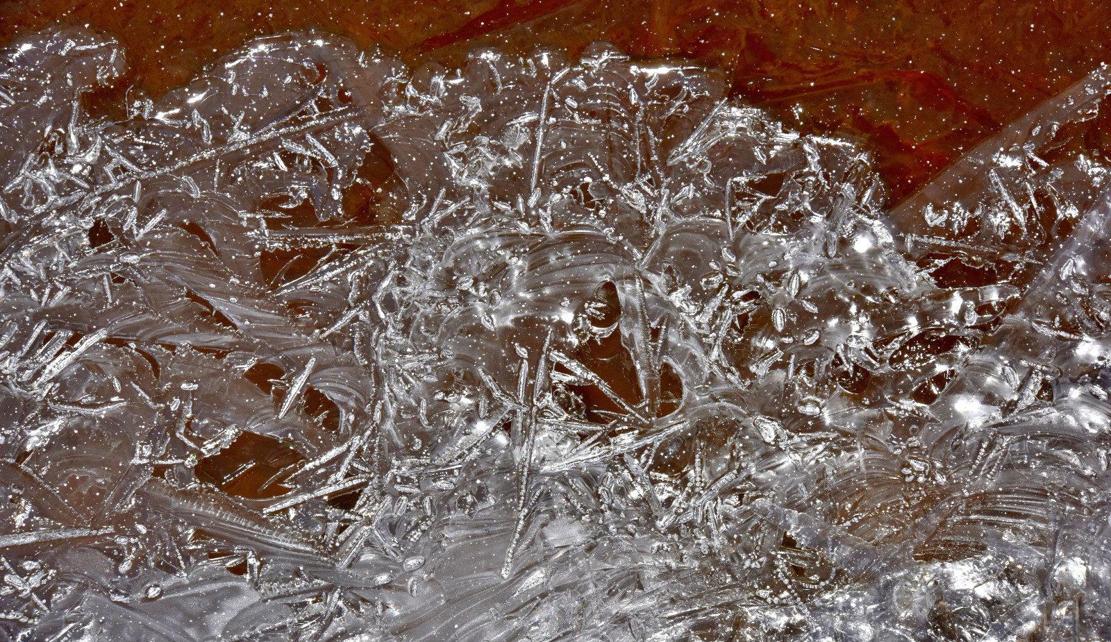 Valokuvaaja: Reijo Juurinen