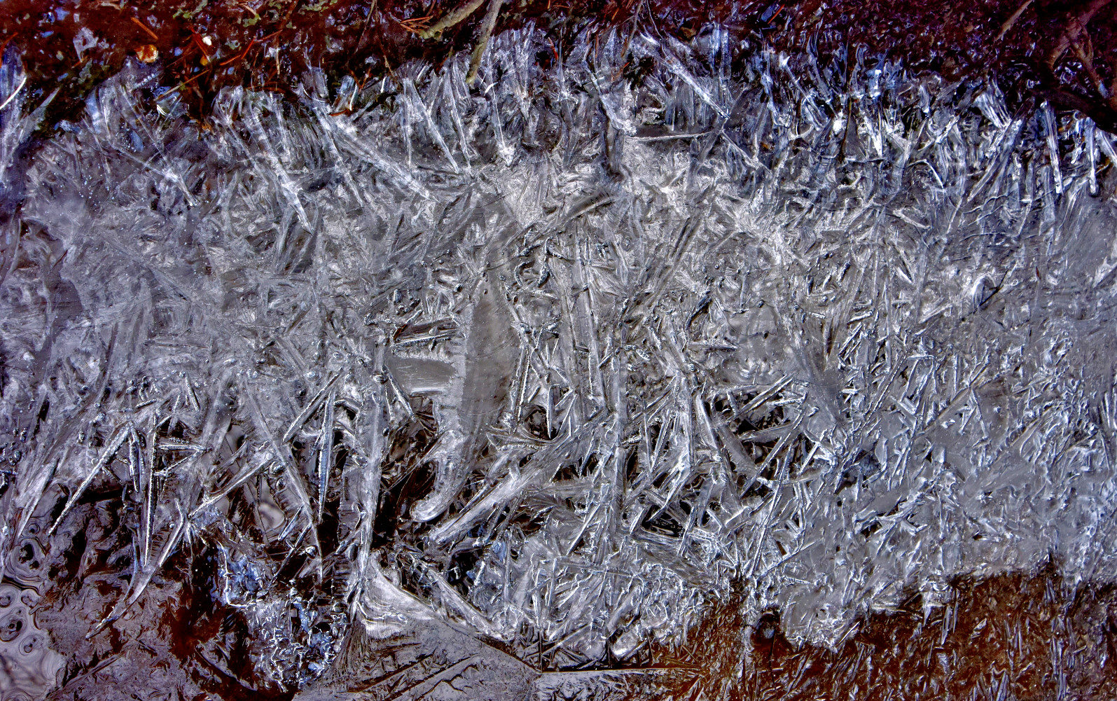 Valokuvaaja: Reijo Juurinen