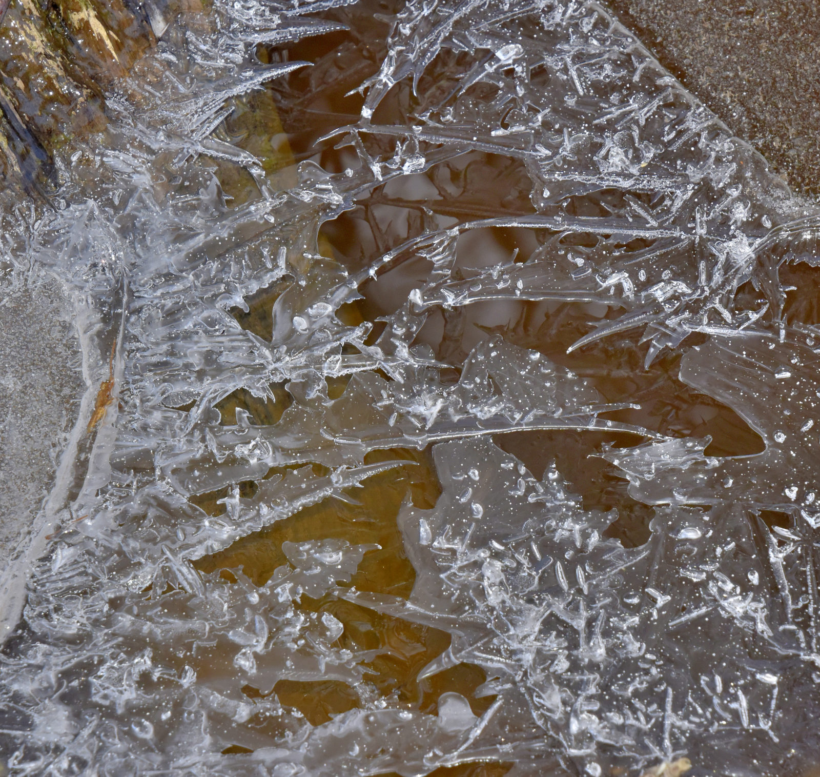 Valokuvaaja: Reijo Juurinen