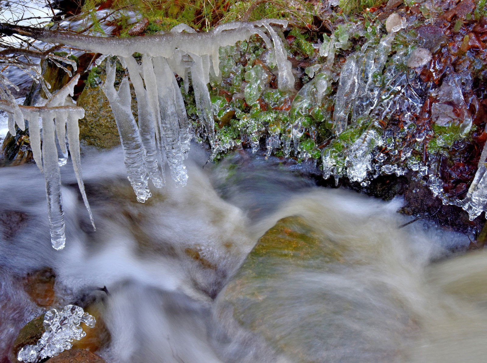 Valokuvaaja: Reijo Juurinen