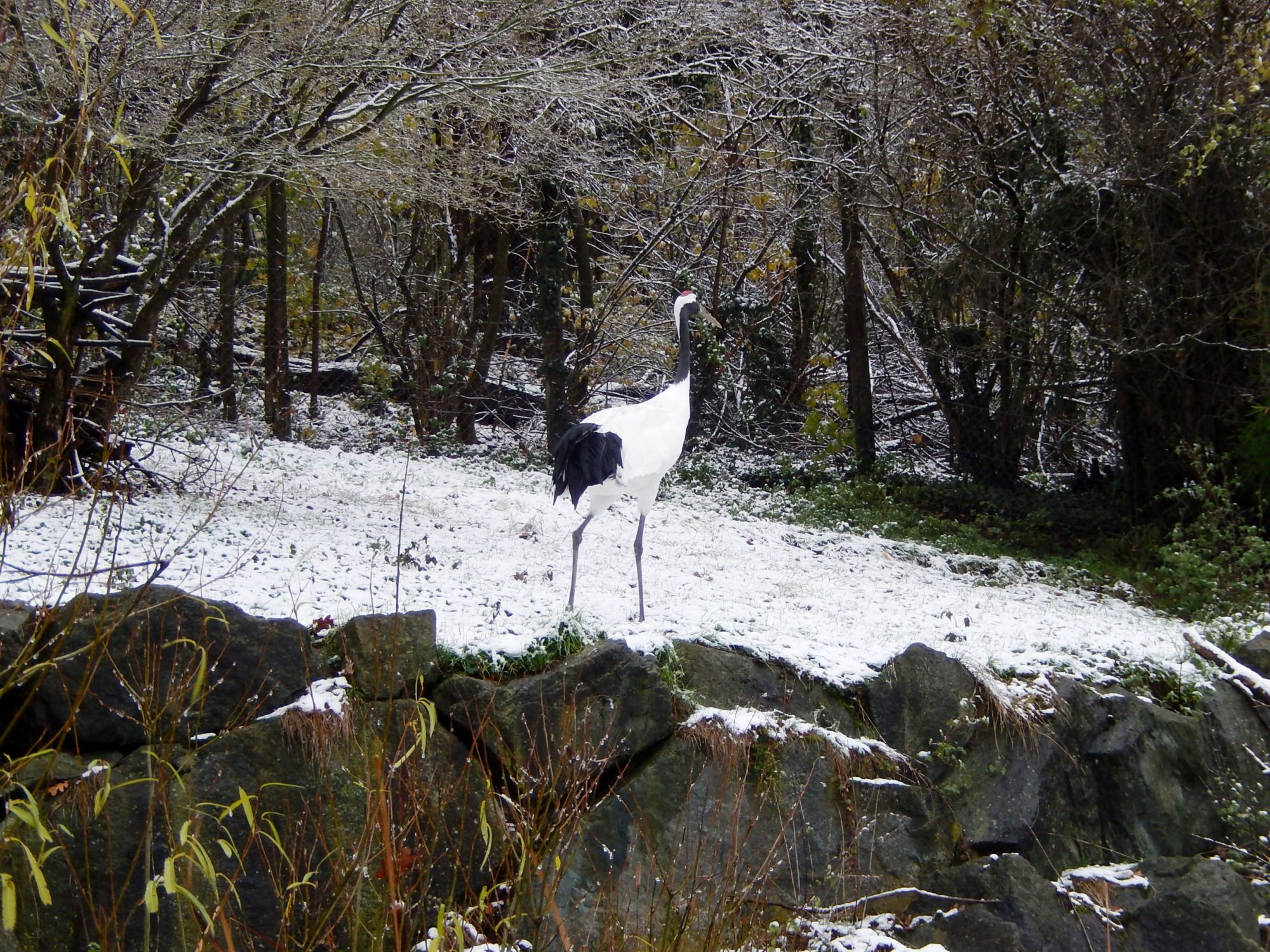 Valokuvaaja: Pirkko Siukonen Valokuvaaja: Pirkko Siukonen
