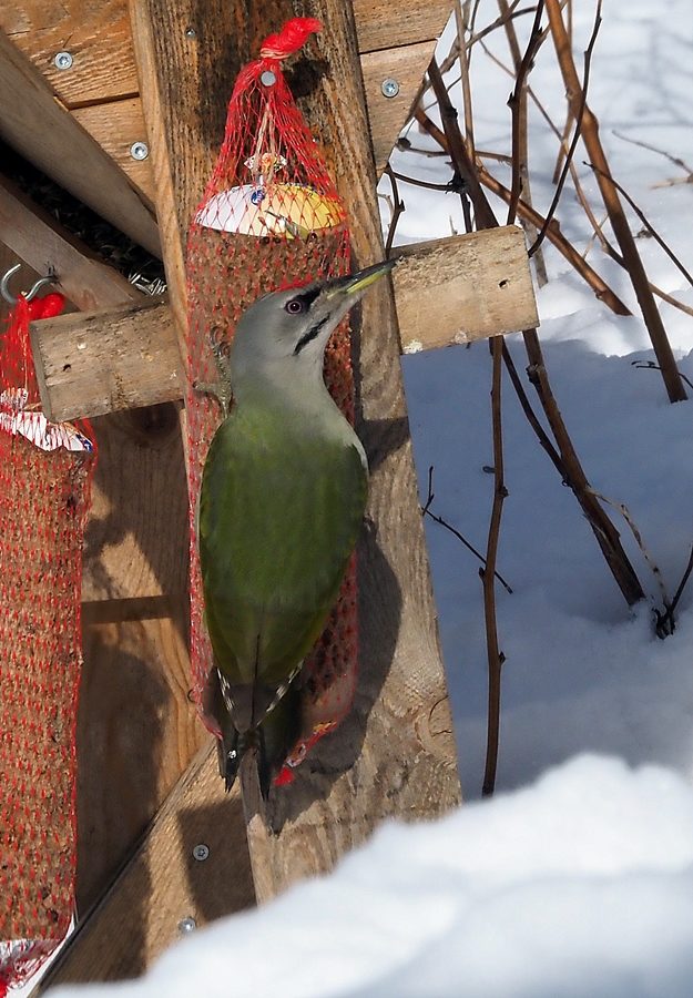 Valokuvaaja: Henrik Rantanen