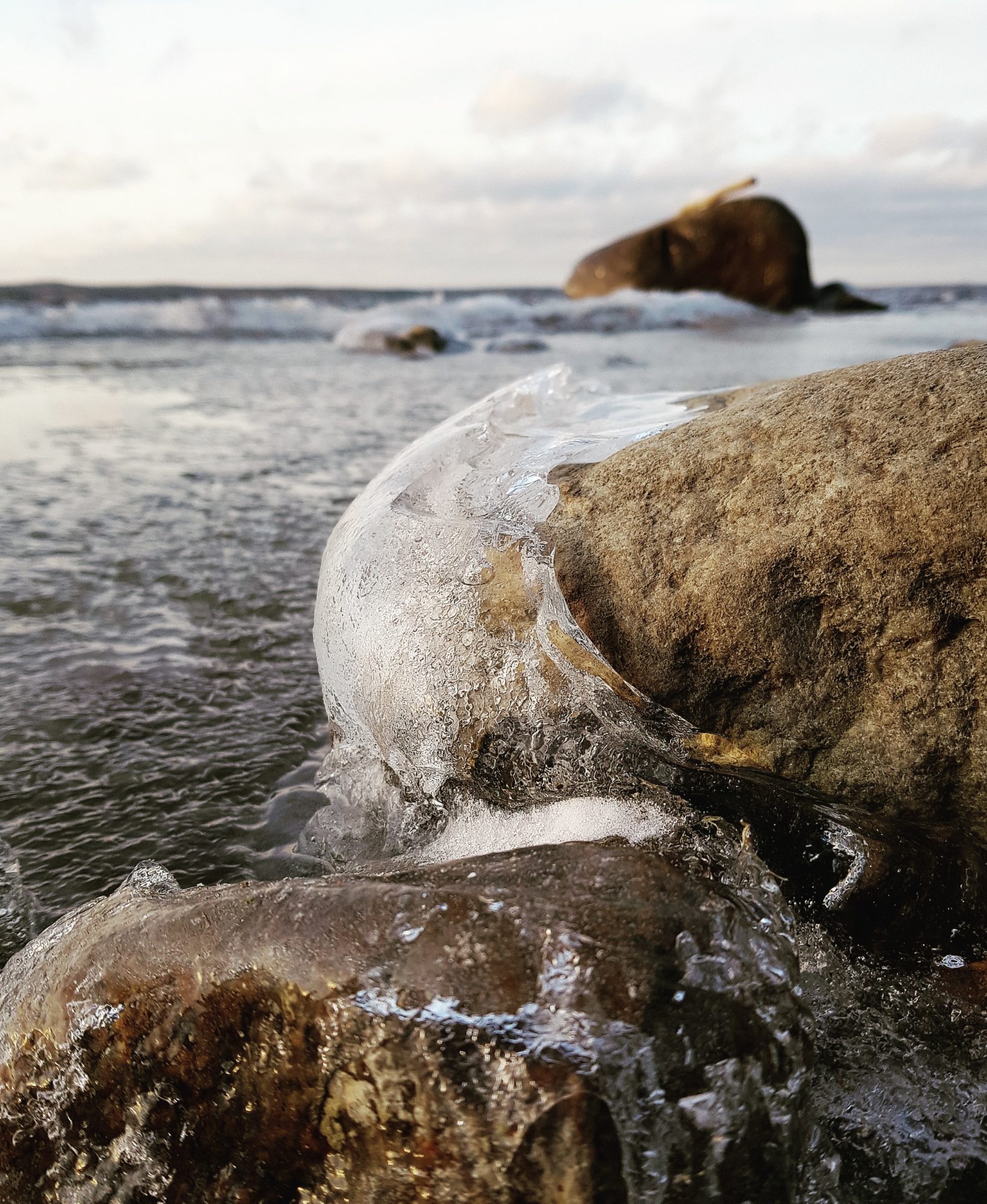 Valokuvaaja: Sanna Knuutinen