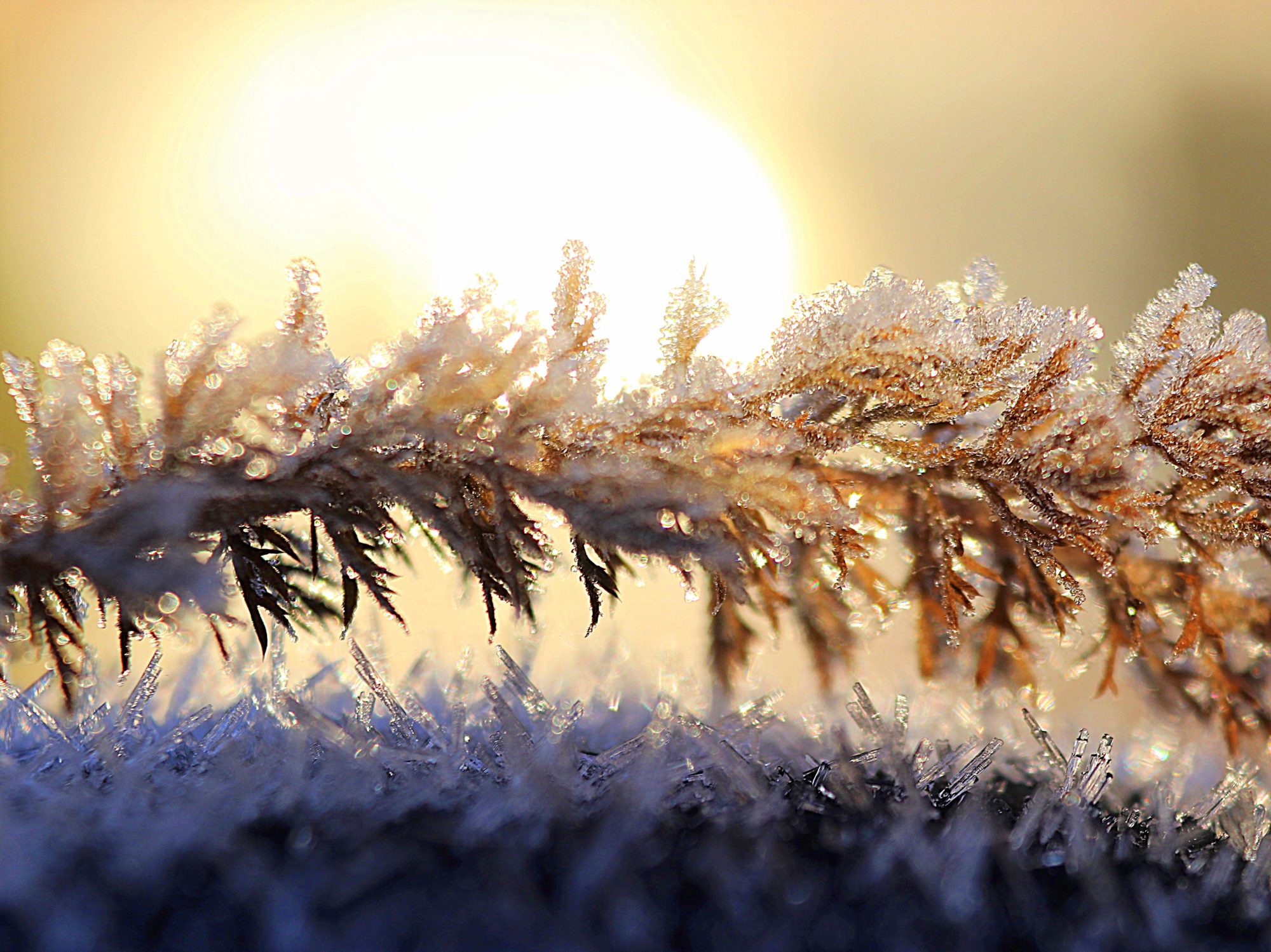 Valokuvaaja: Irja Lehtinen