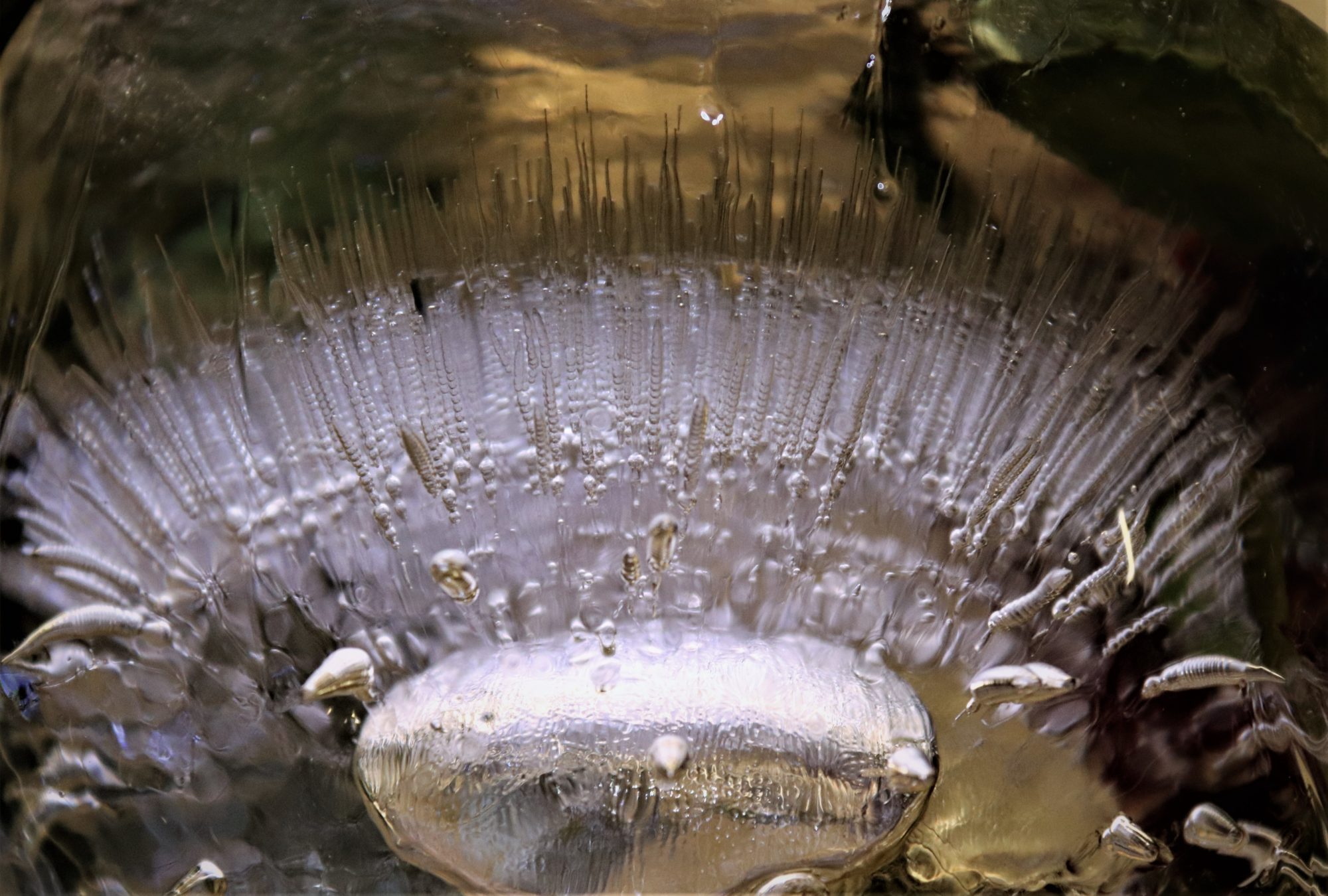 Valokuvaaja: Irja Lehtinen