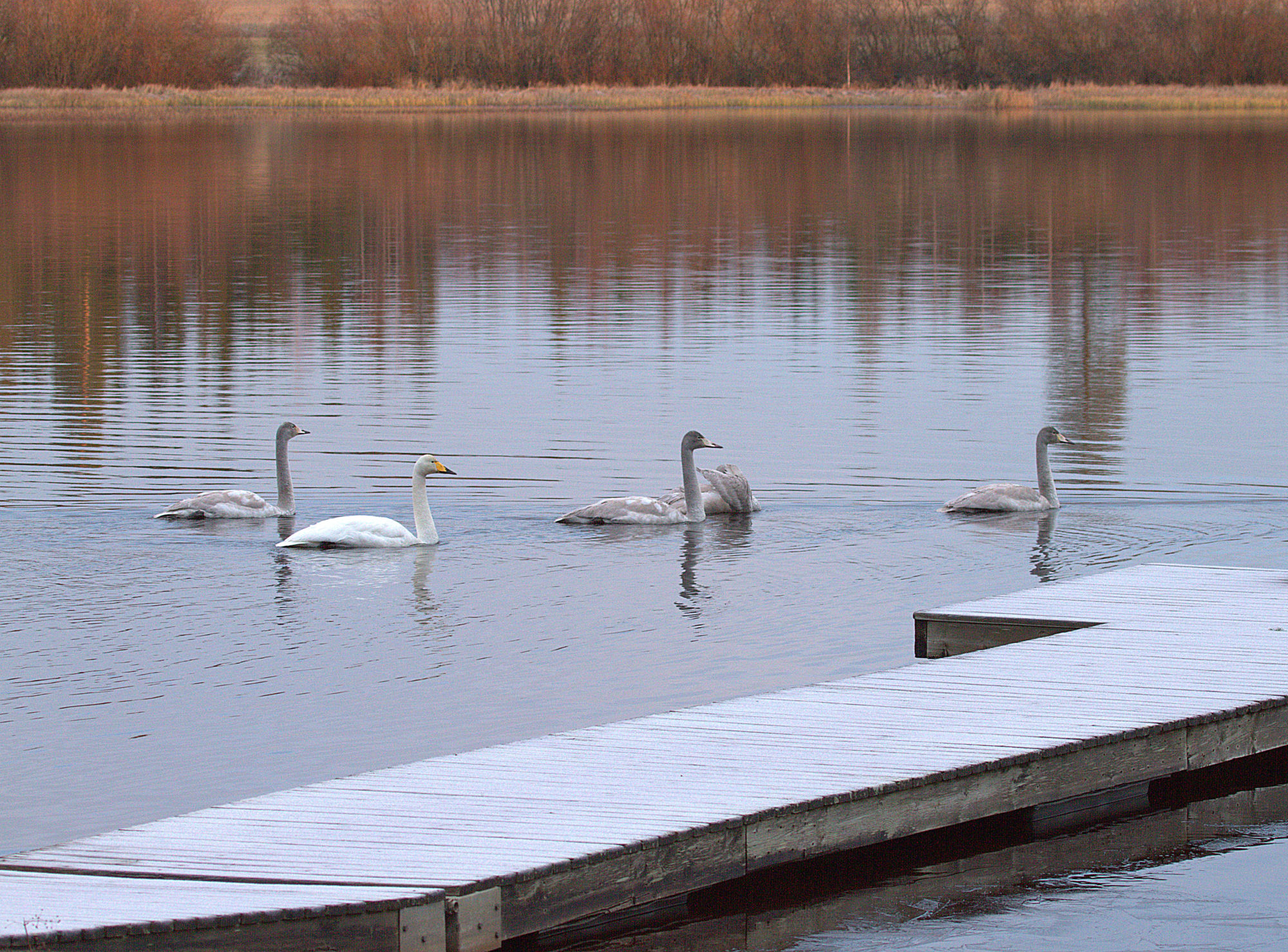 Valokuvaaja: Sirpa Jyske