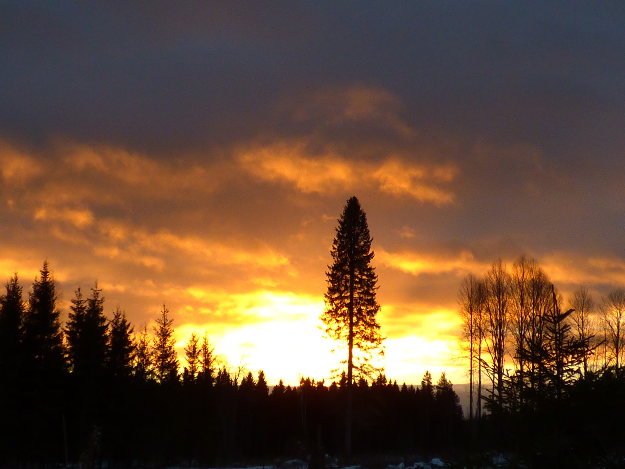 Valokuvaaja: Hannu Rissanen