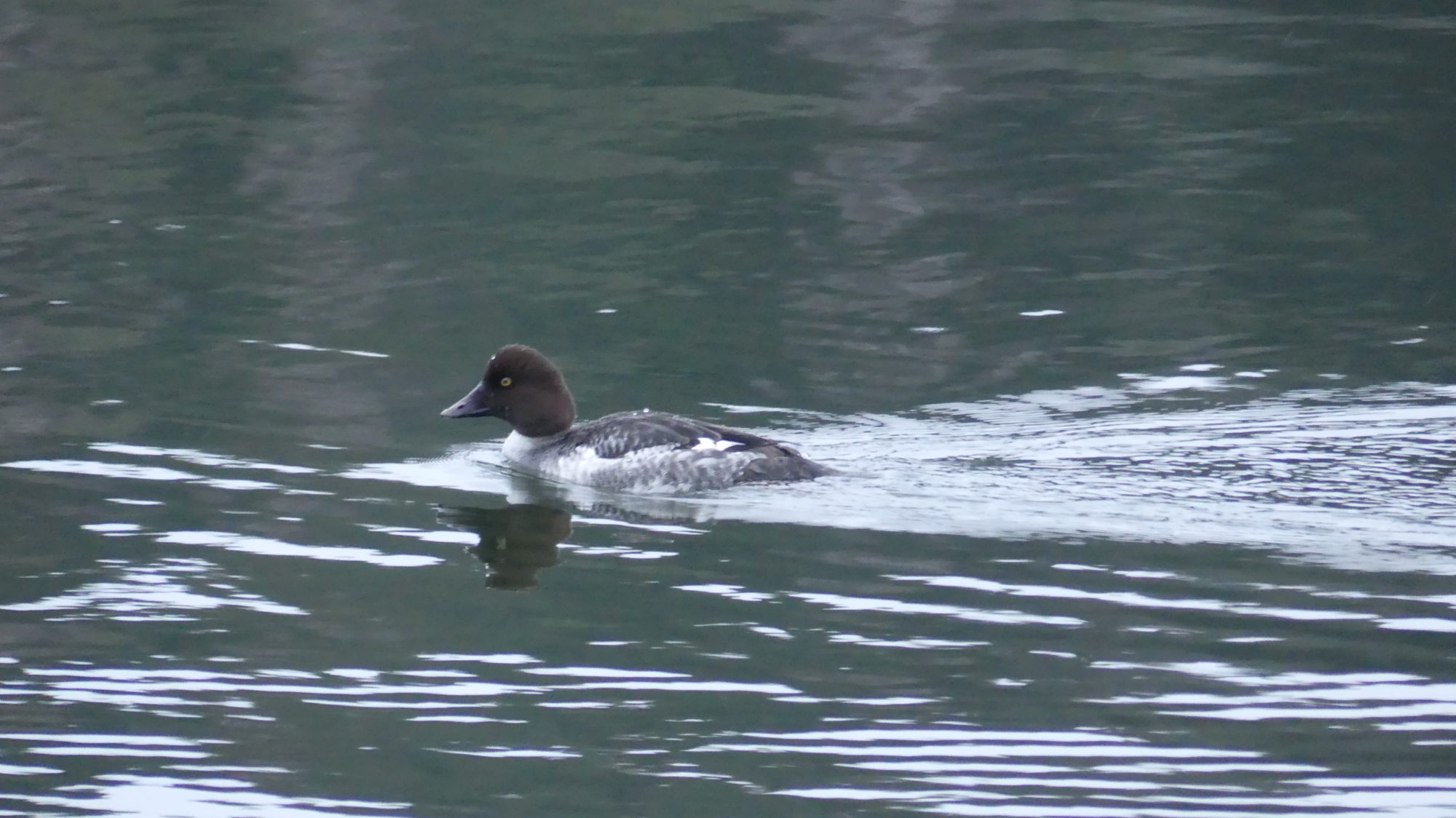 Valokuvaaja: Martti Valtonen