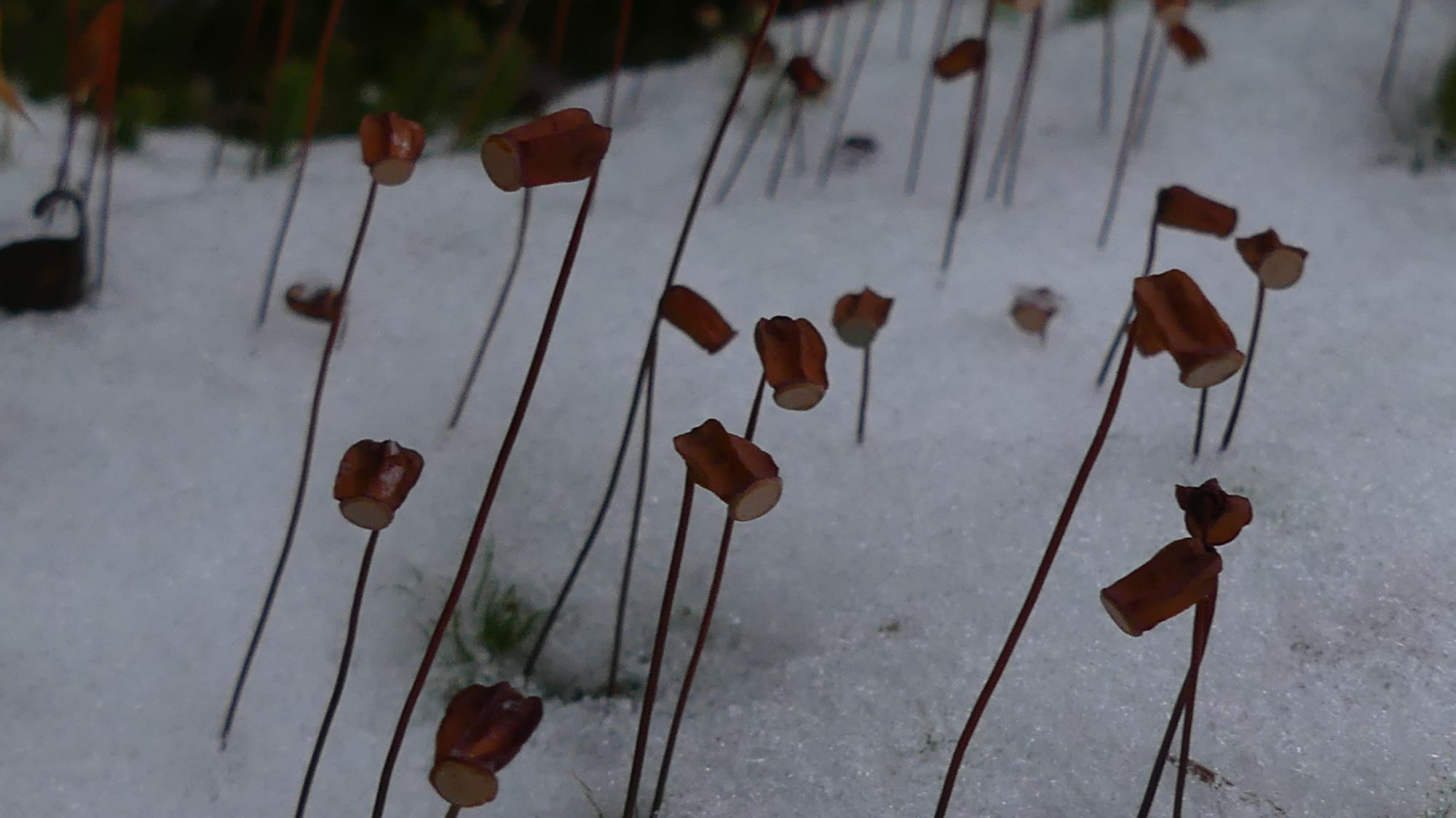 Valokuvaaja: Martti Valtonen