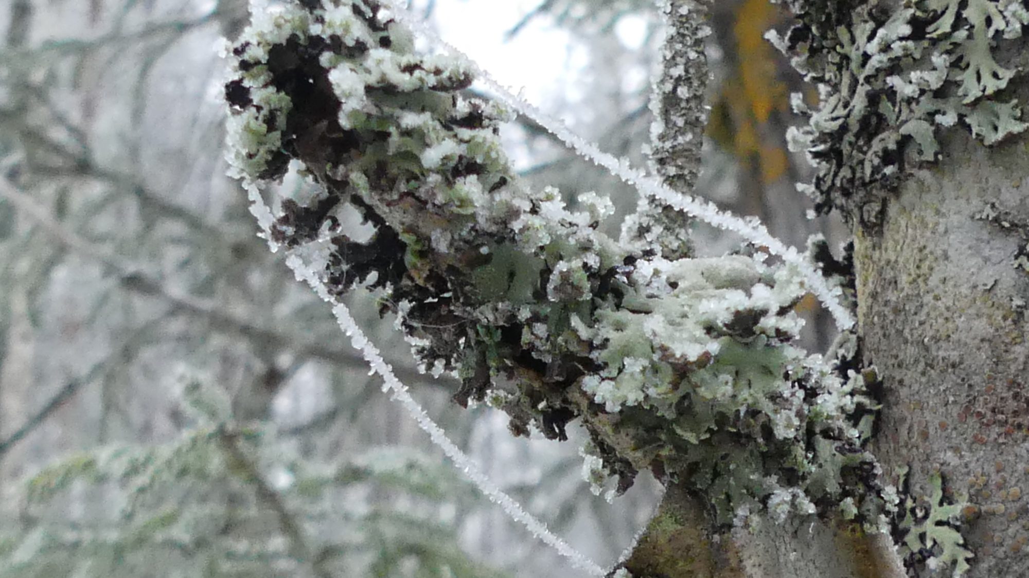 Valokuvaaja: Martti Valtonen