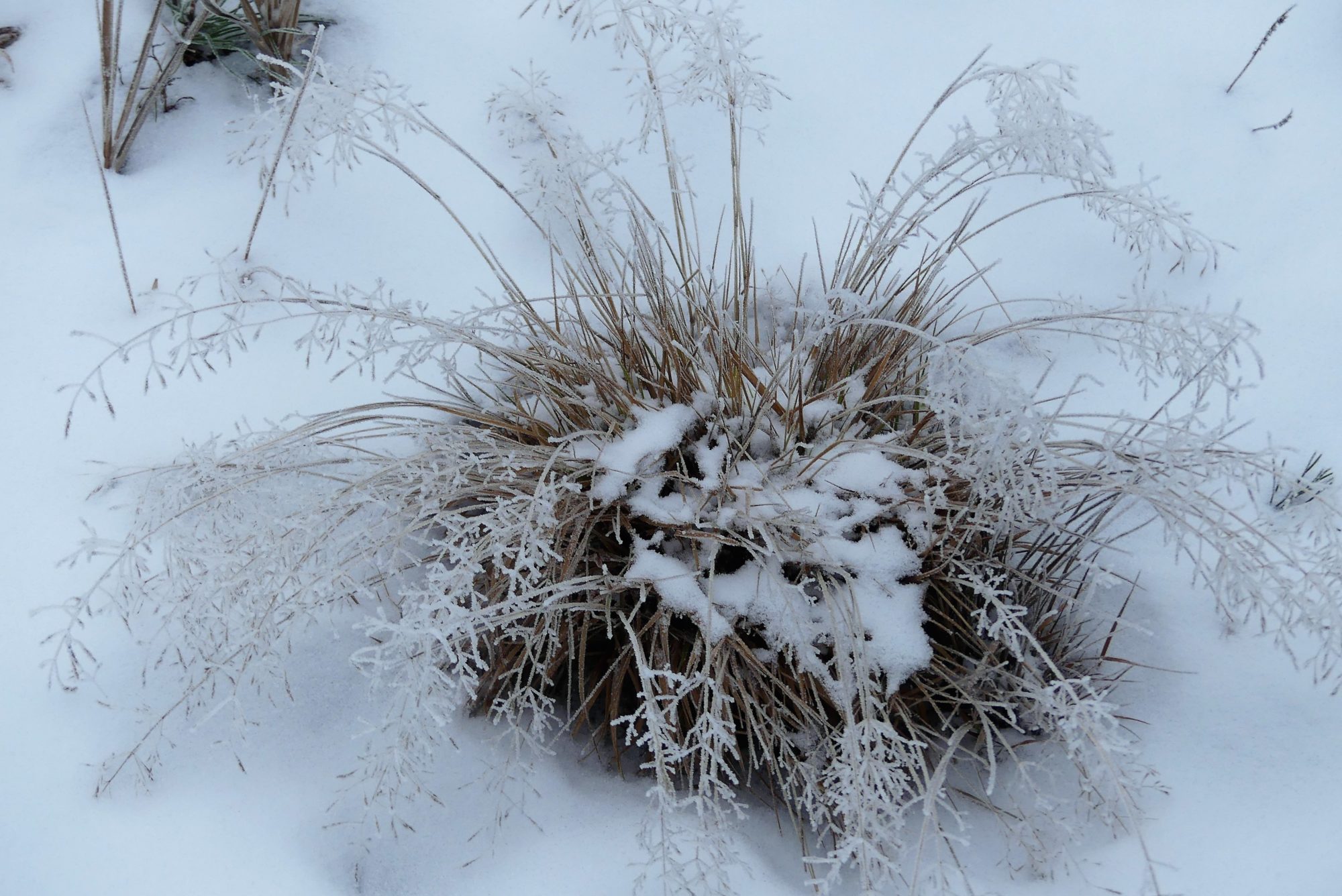 Valokuvaaja: Martti Valtonen