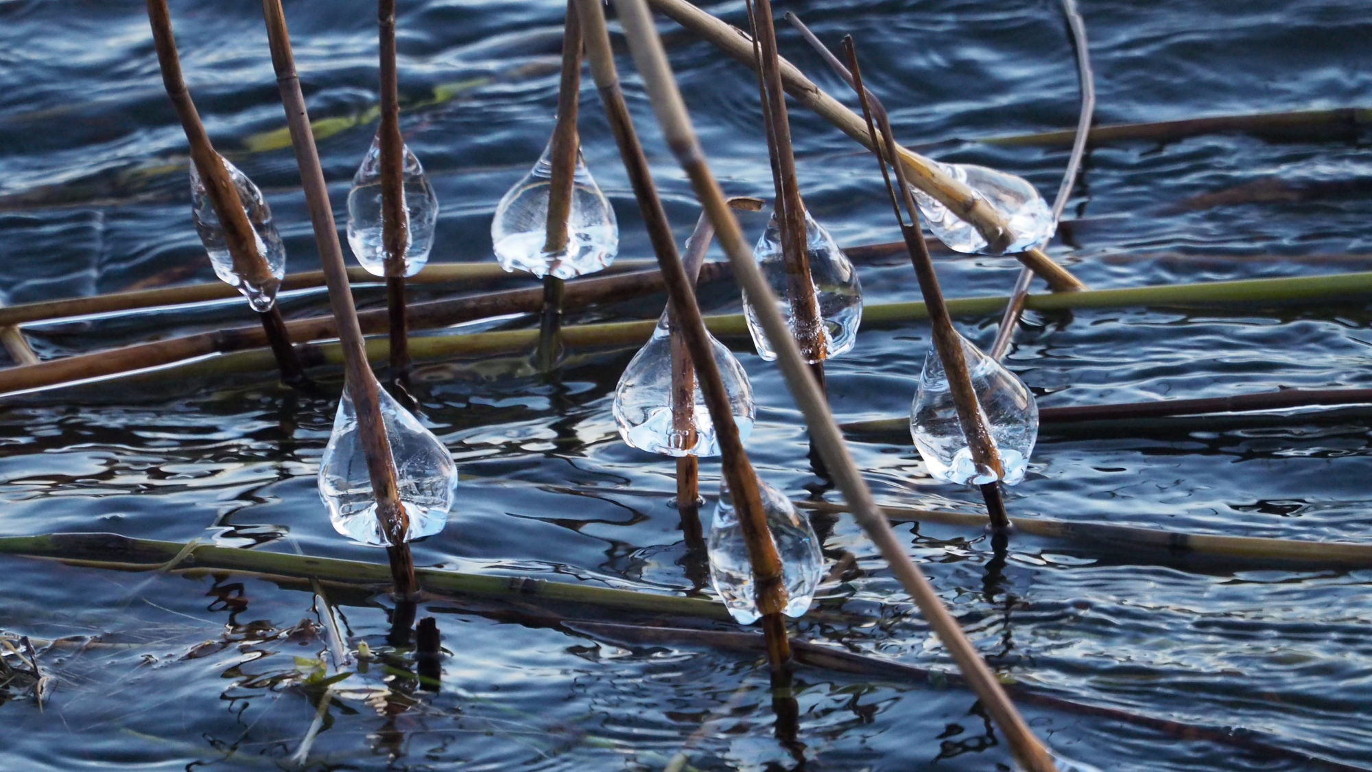 Valokuvaaja: Arja Valtonen