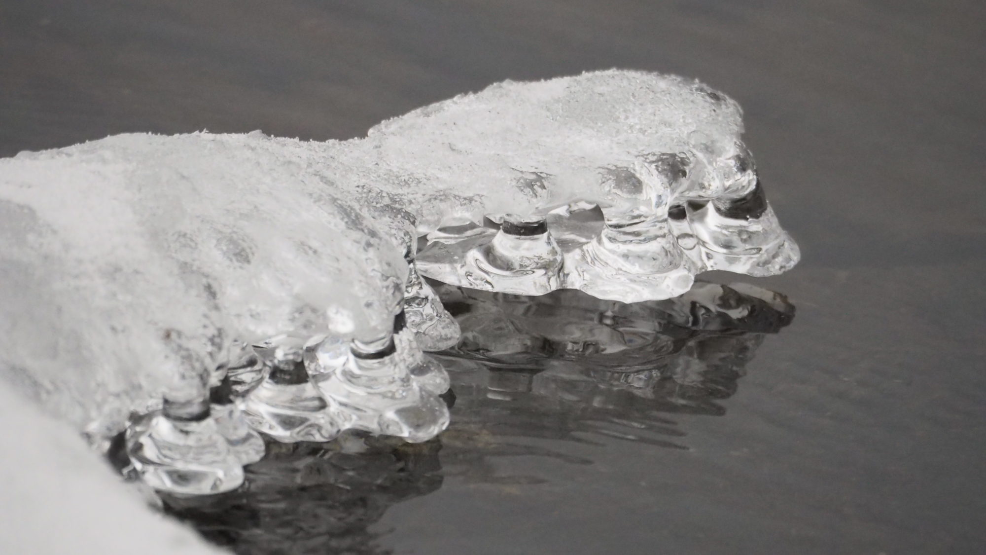 Valokuvaaja: Arja Valtonen