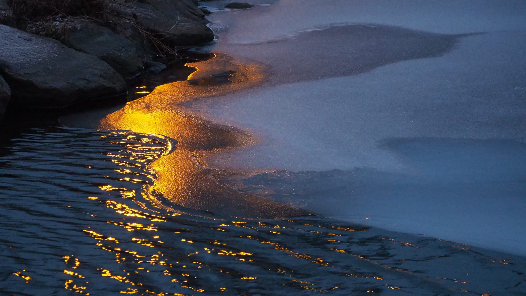 Valokuvaaja: Arja Valtonen