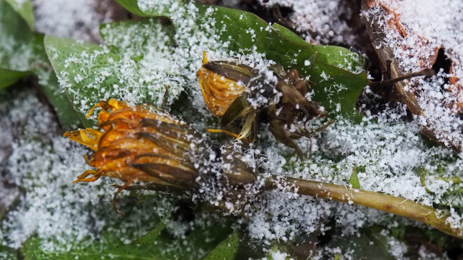 Valokuvaaja: Arja Valtonen