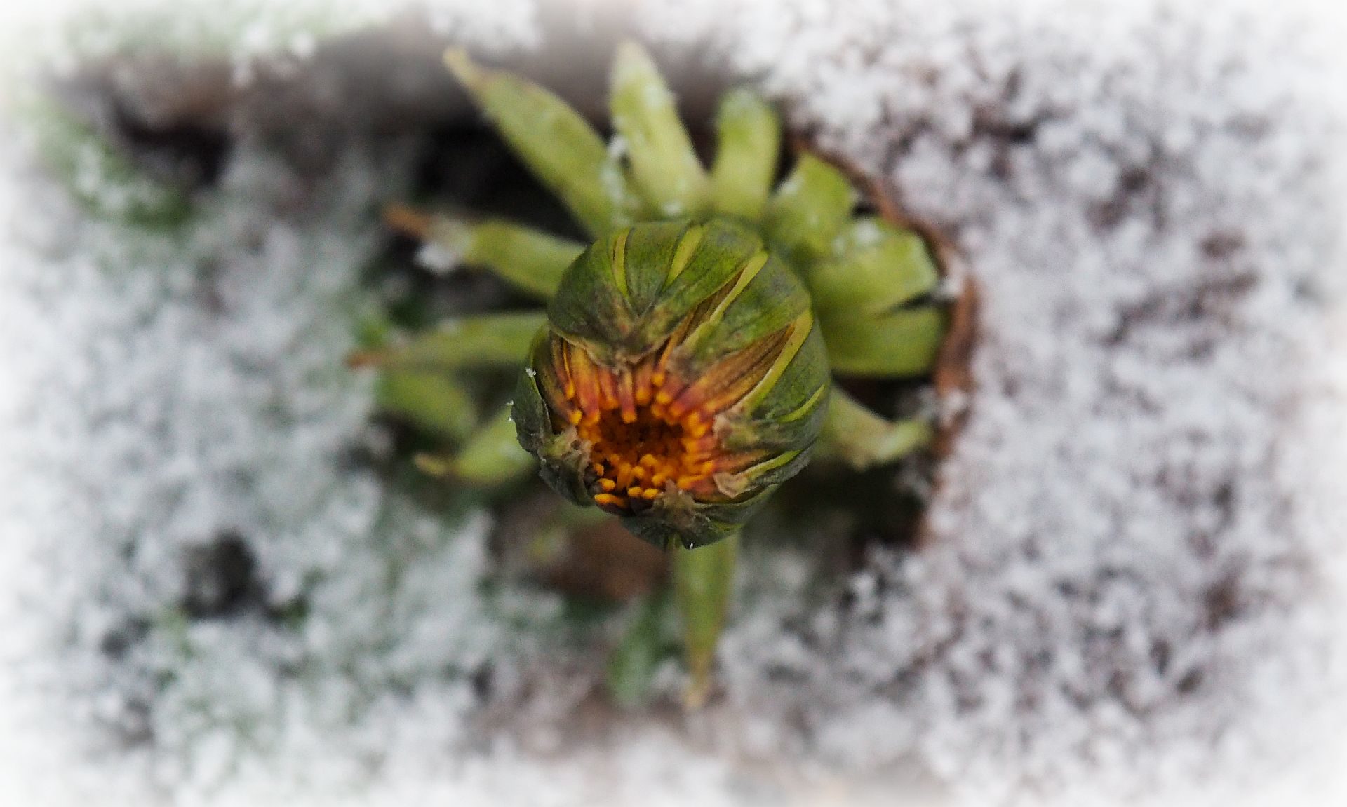 Valokuvaaja: Arja Valtonen