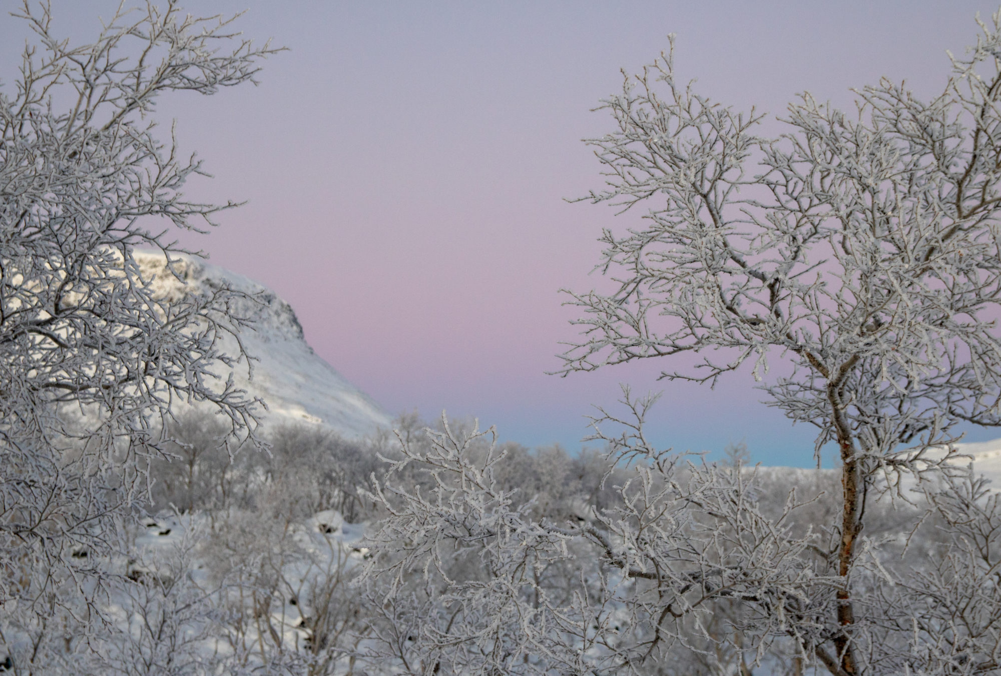 Valokuvaaja: Katri Niskanen