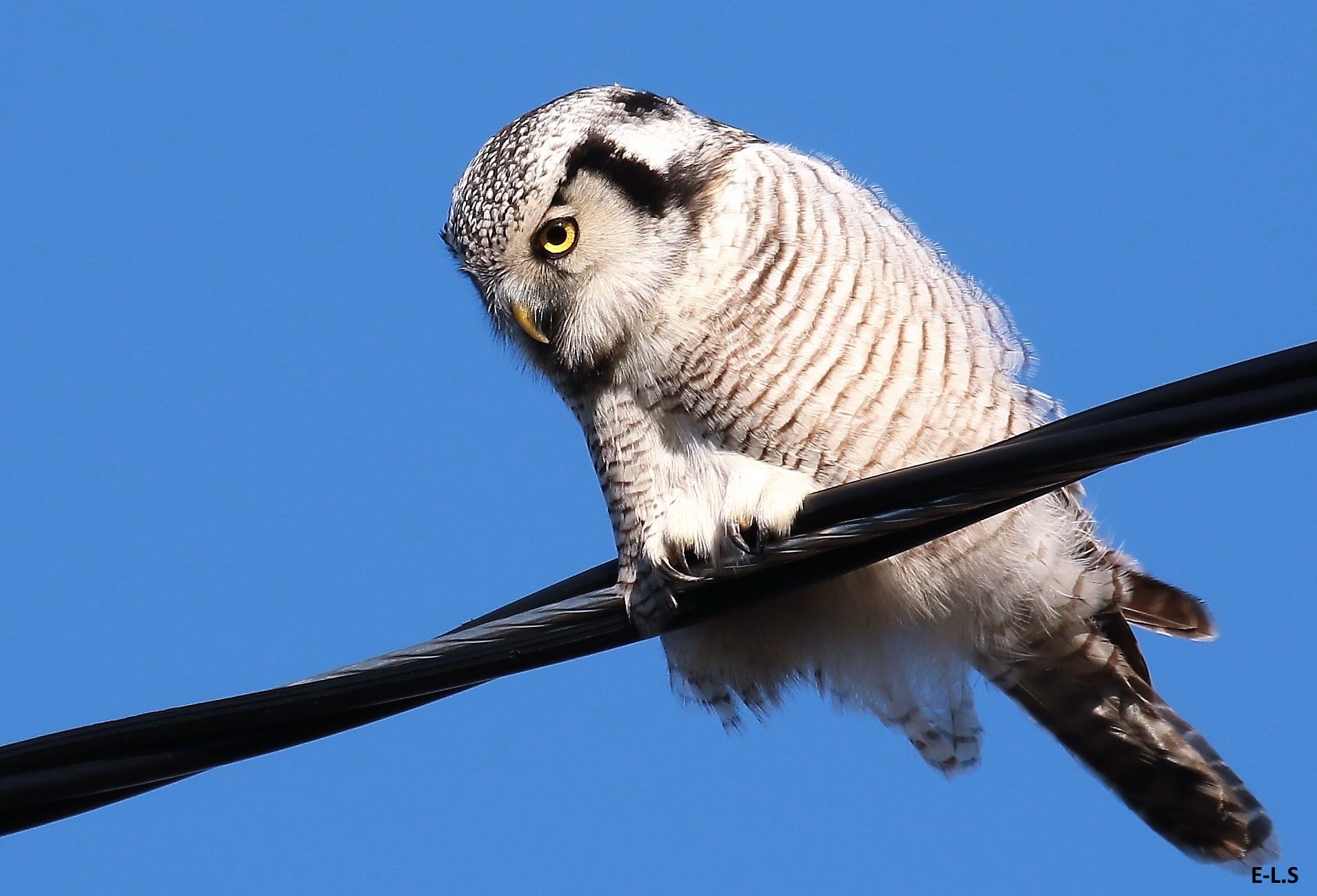Valokuvaaja: Eeva-Liisa Sepponen