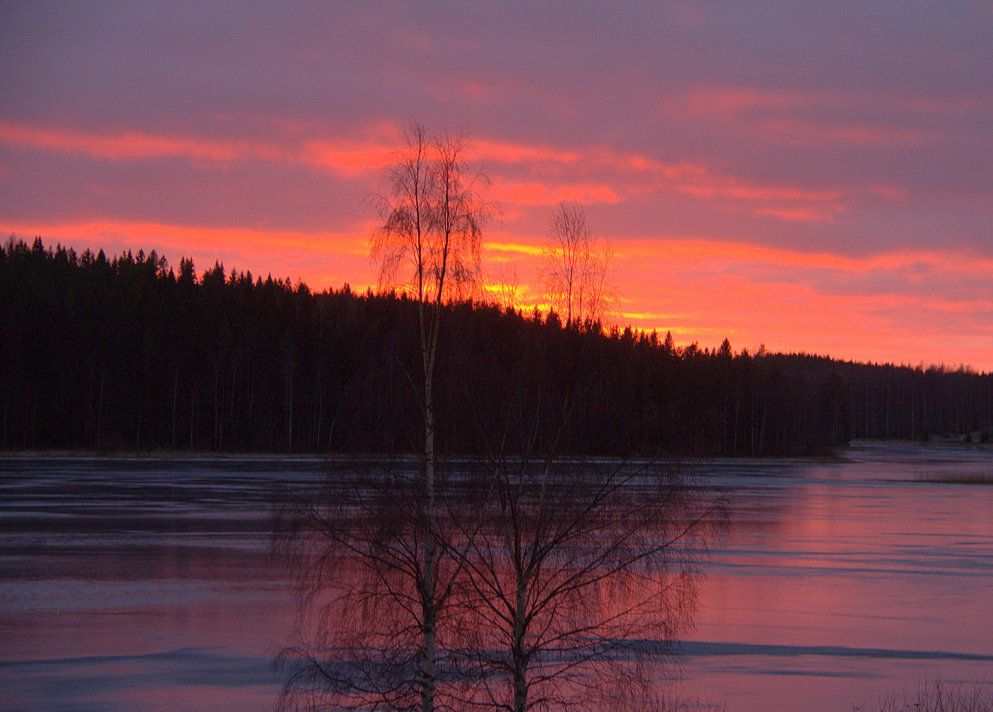 Valokuvaaja: Sirpa Jyske