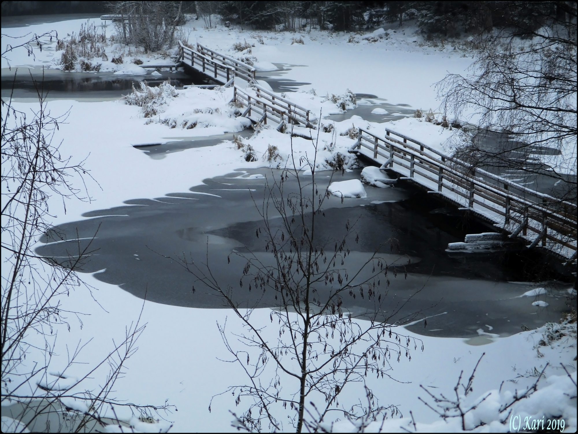 Valokuvaaja: Kari Saarinen