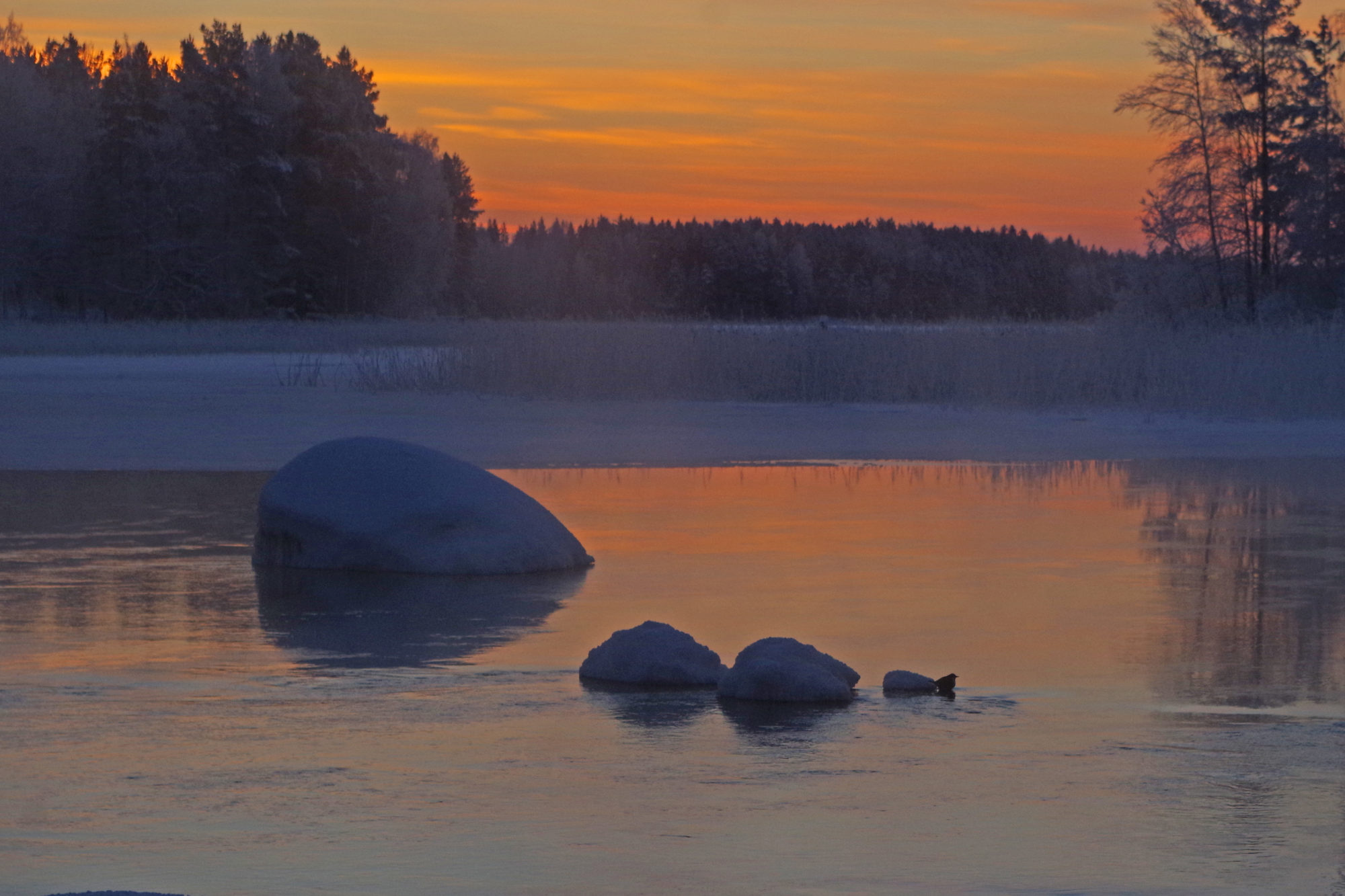 Valokuvaaja: Erkki Virtanen