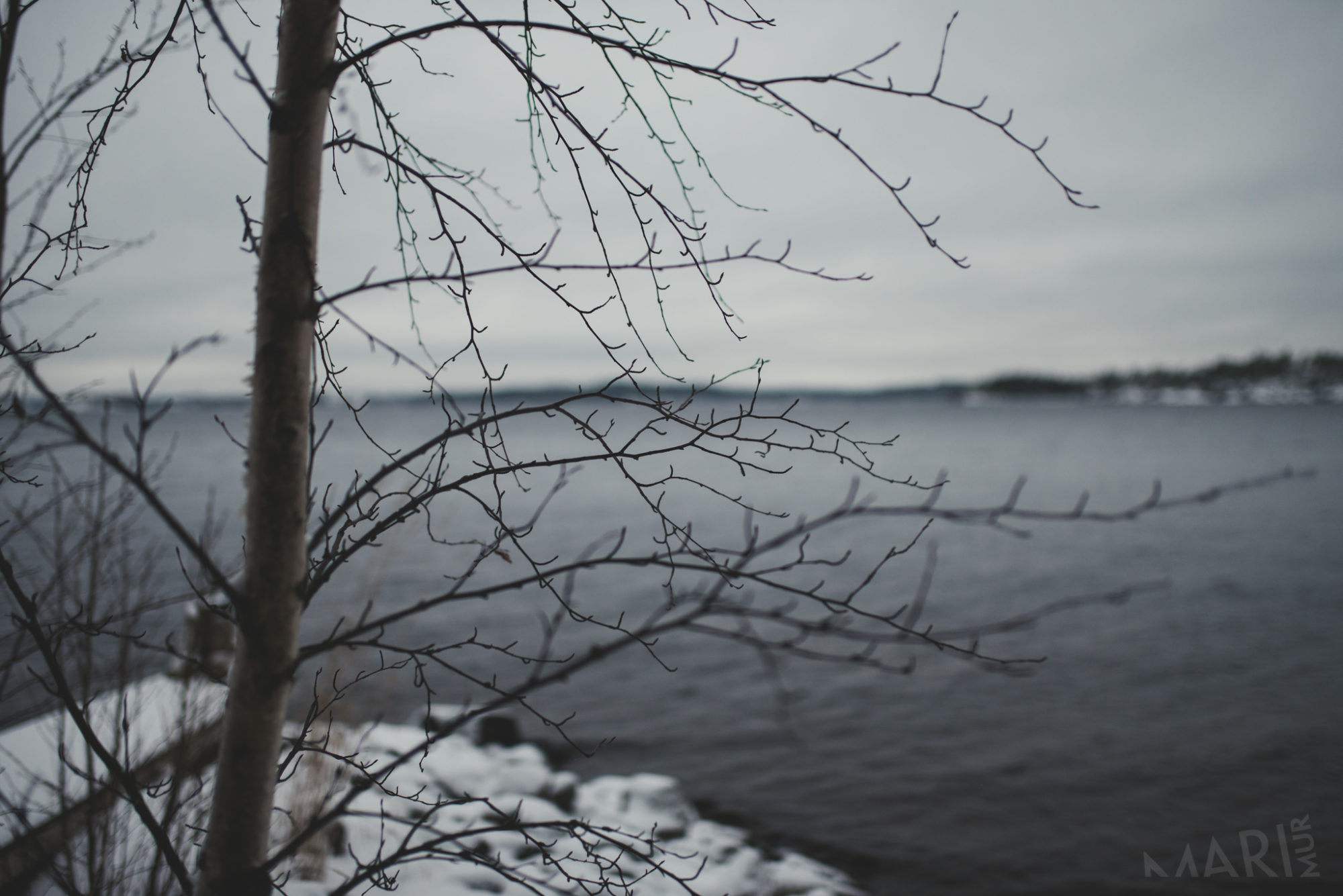 Valokuvaaja: Mari Mur