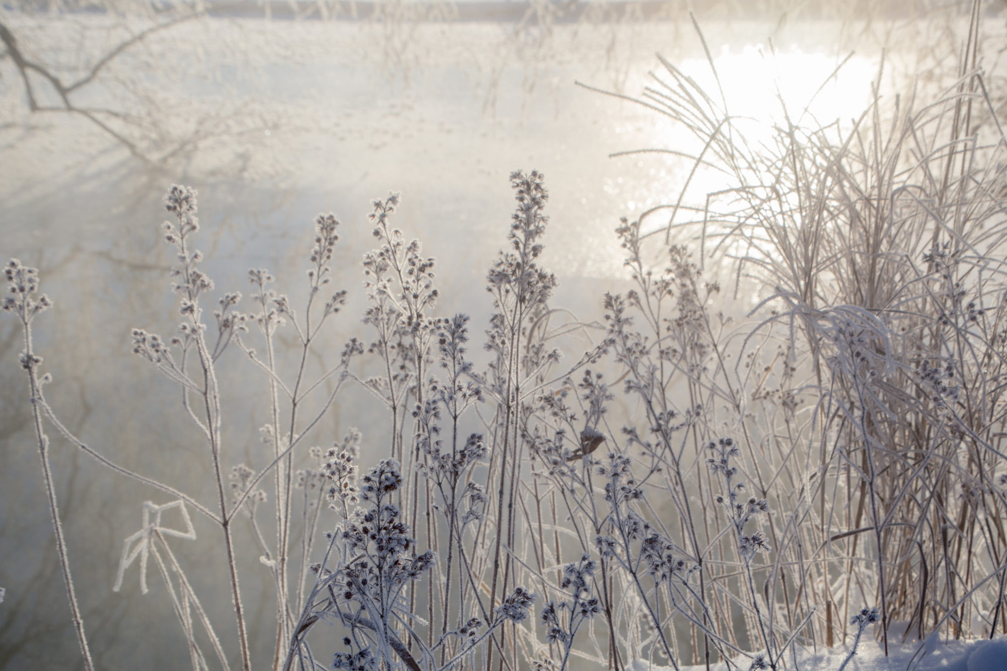 Valokuvaaja: Anne Patana