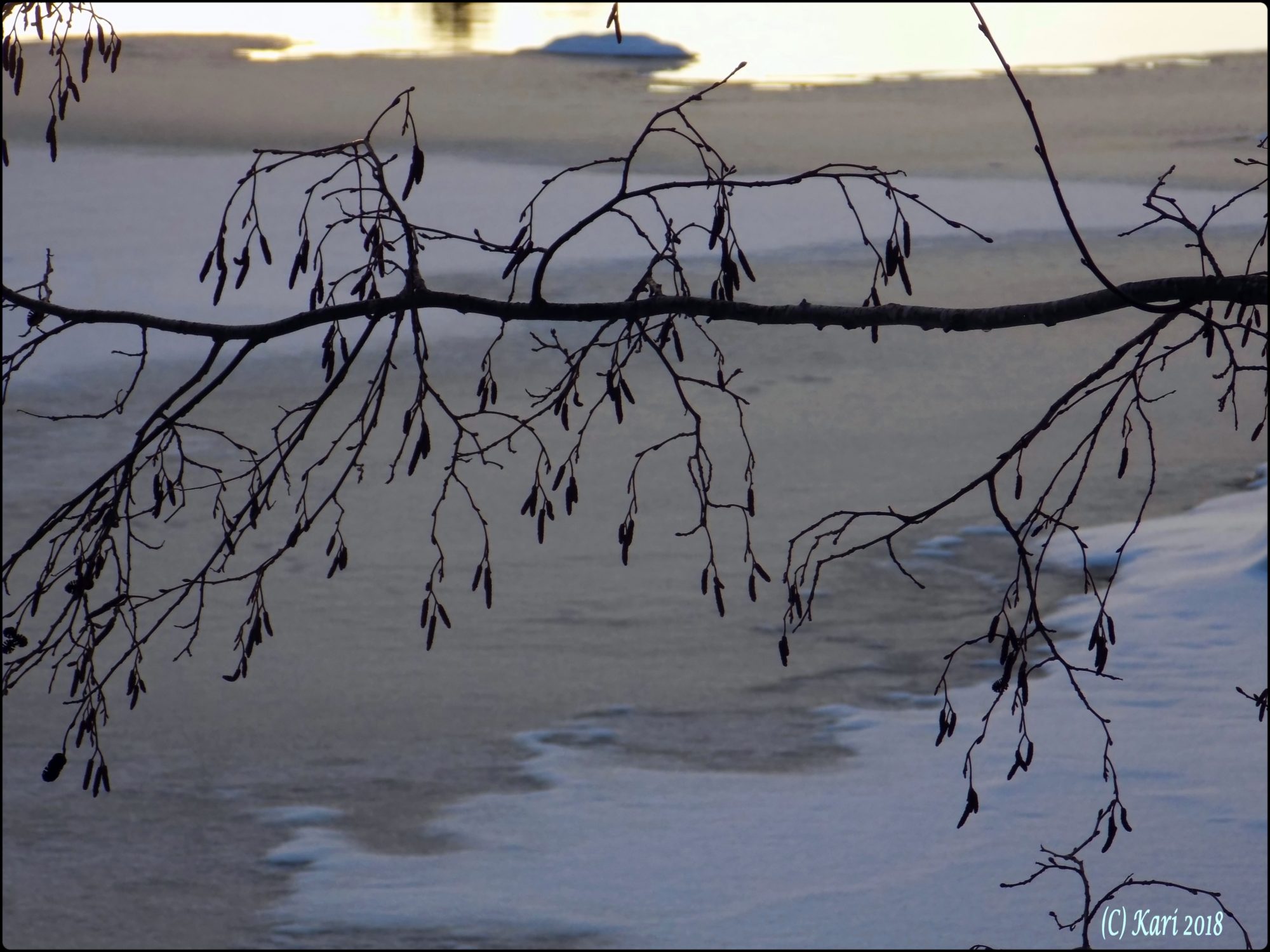 Valokuvaaja: Kari Saarinen Valokuvaaja: Kari Saarinen