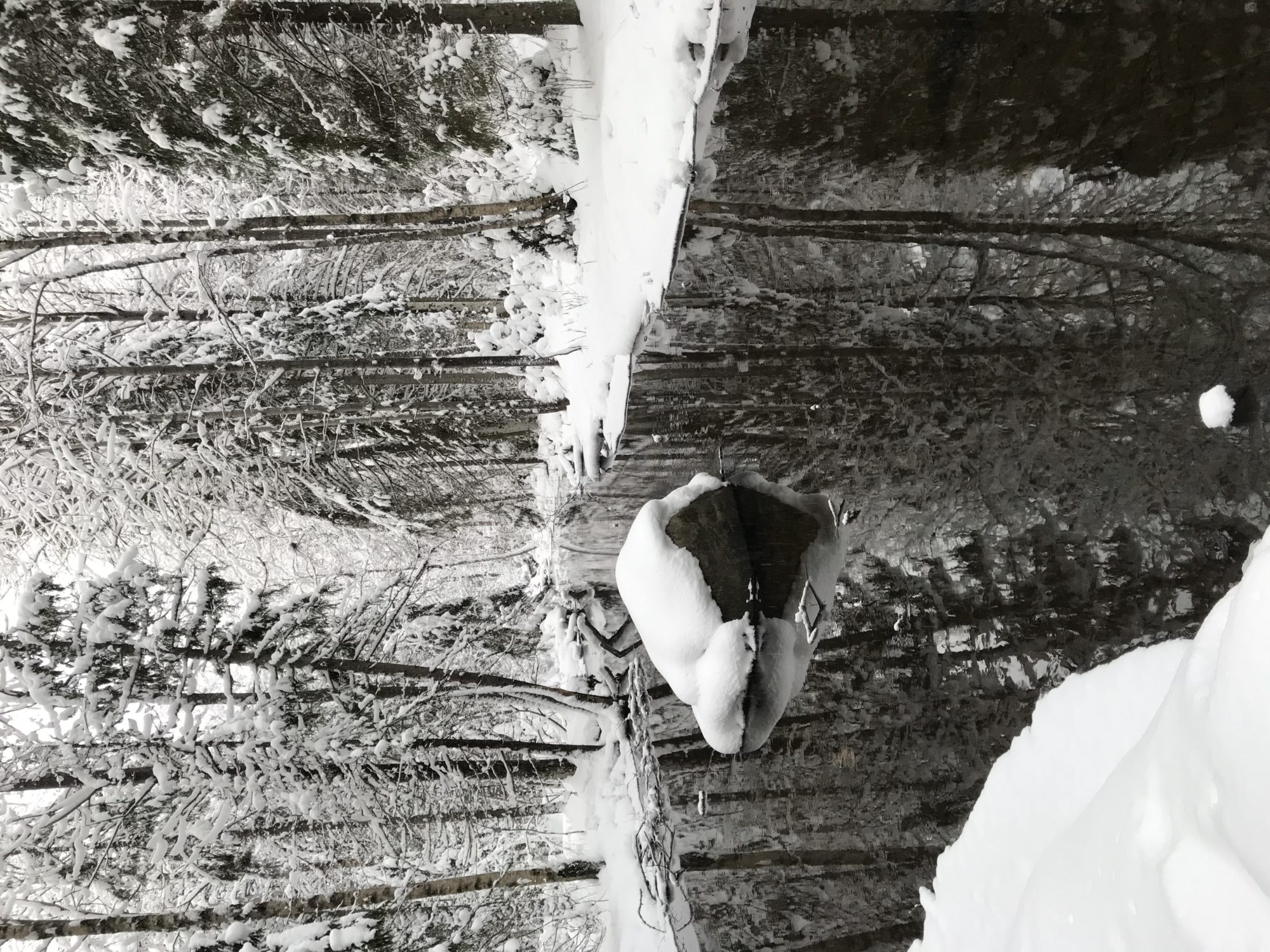 Valokuvaaja: Anne Patana