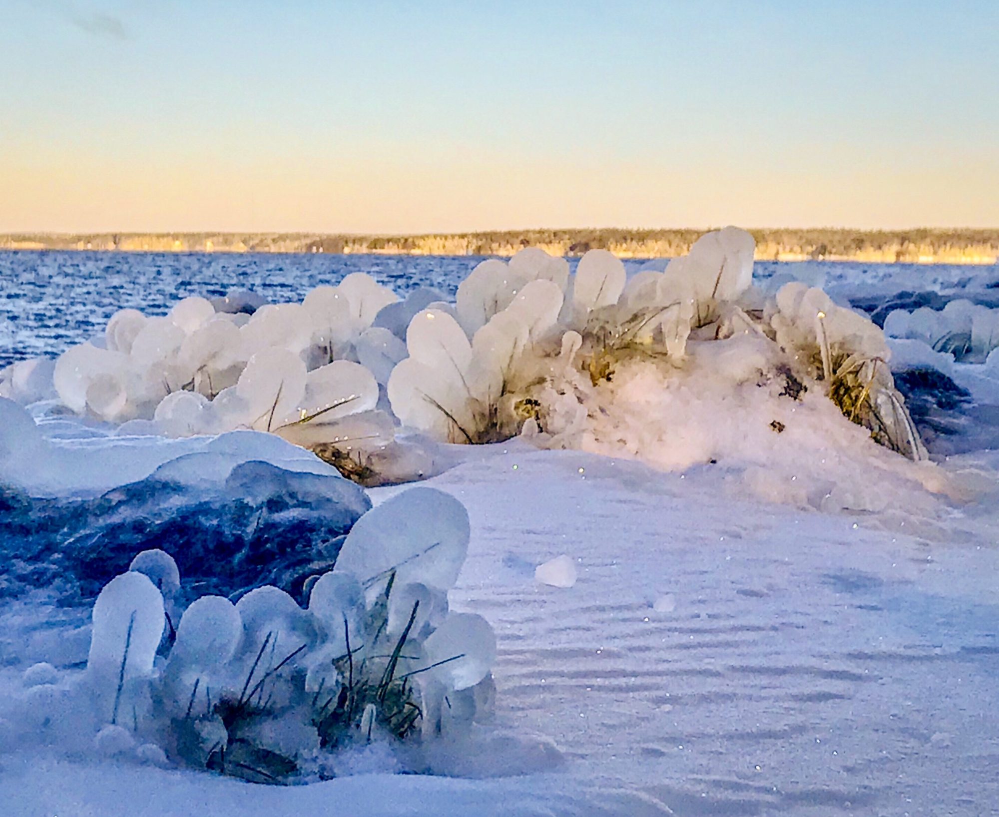 Valokuvaaja: Anne Patana
