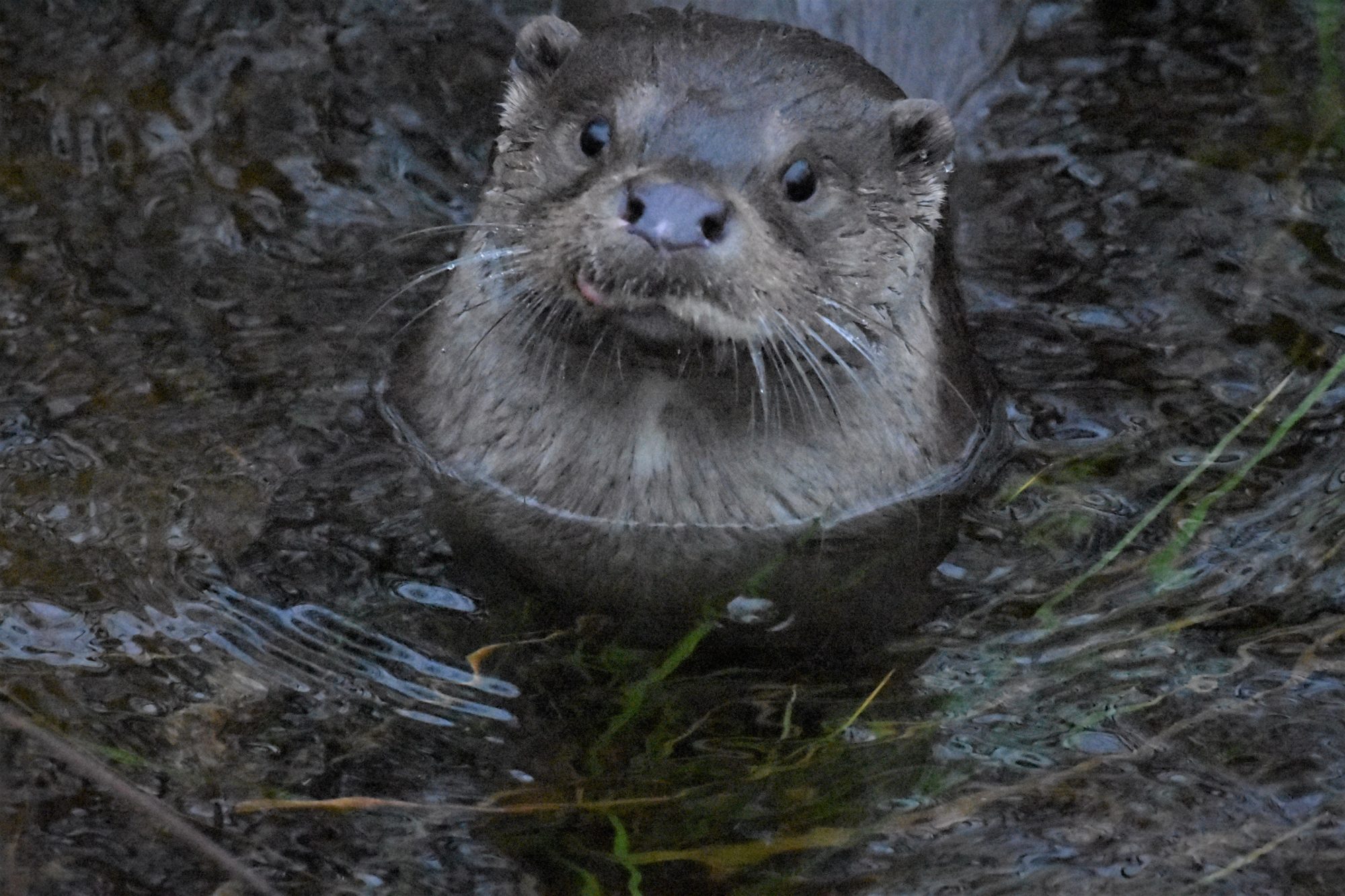 Valokuvaaja: Korsi Eino