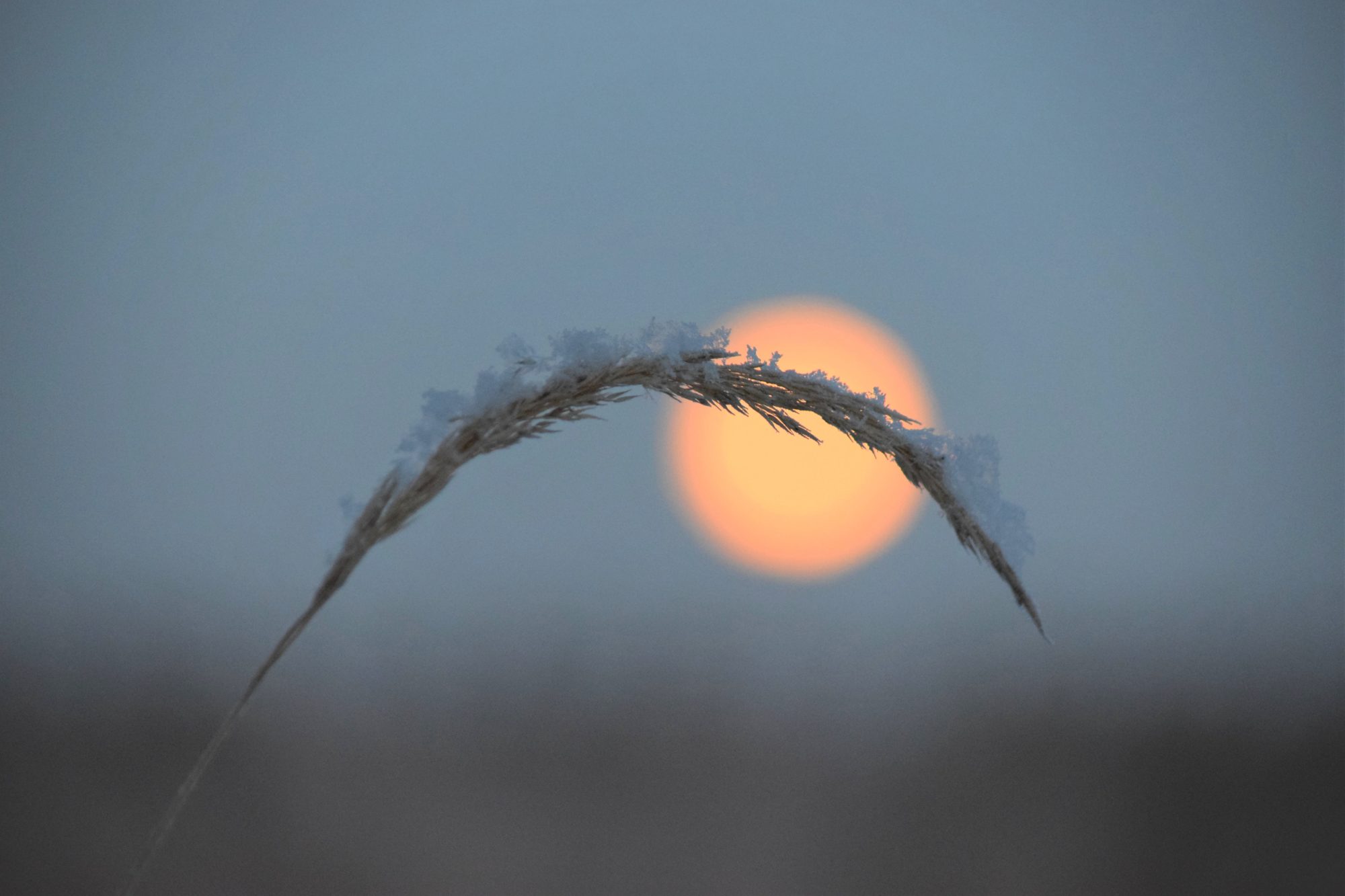 Valokuvaaja: Leena Rissanen