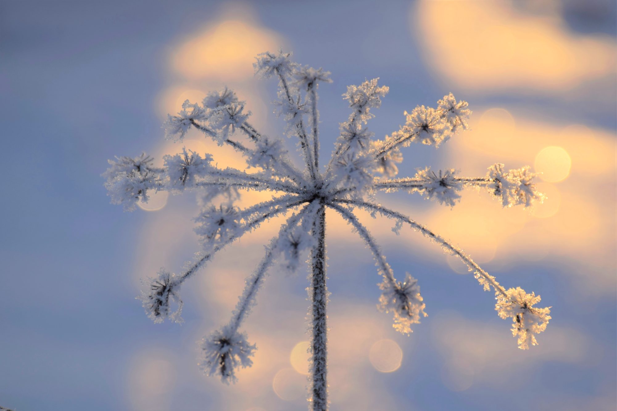 Valokuvaaja: Leena Rissanen