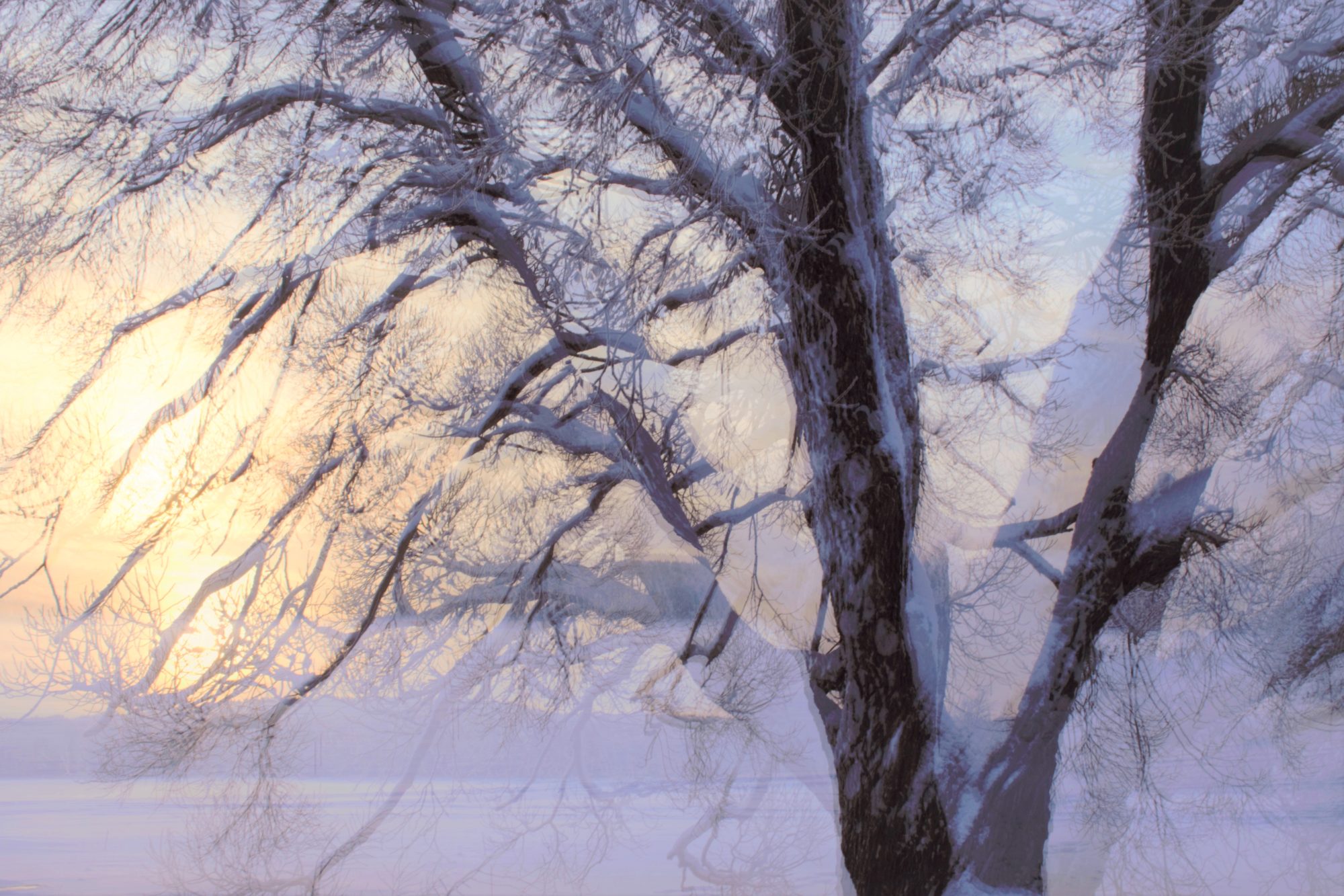 Valokuvaaja: Leena Rissanen