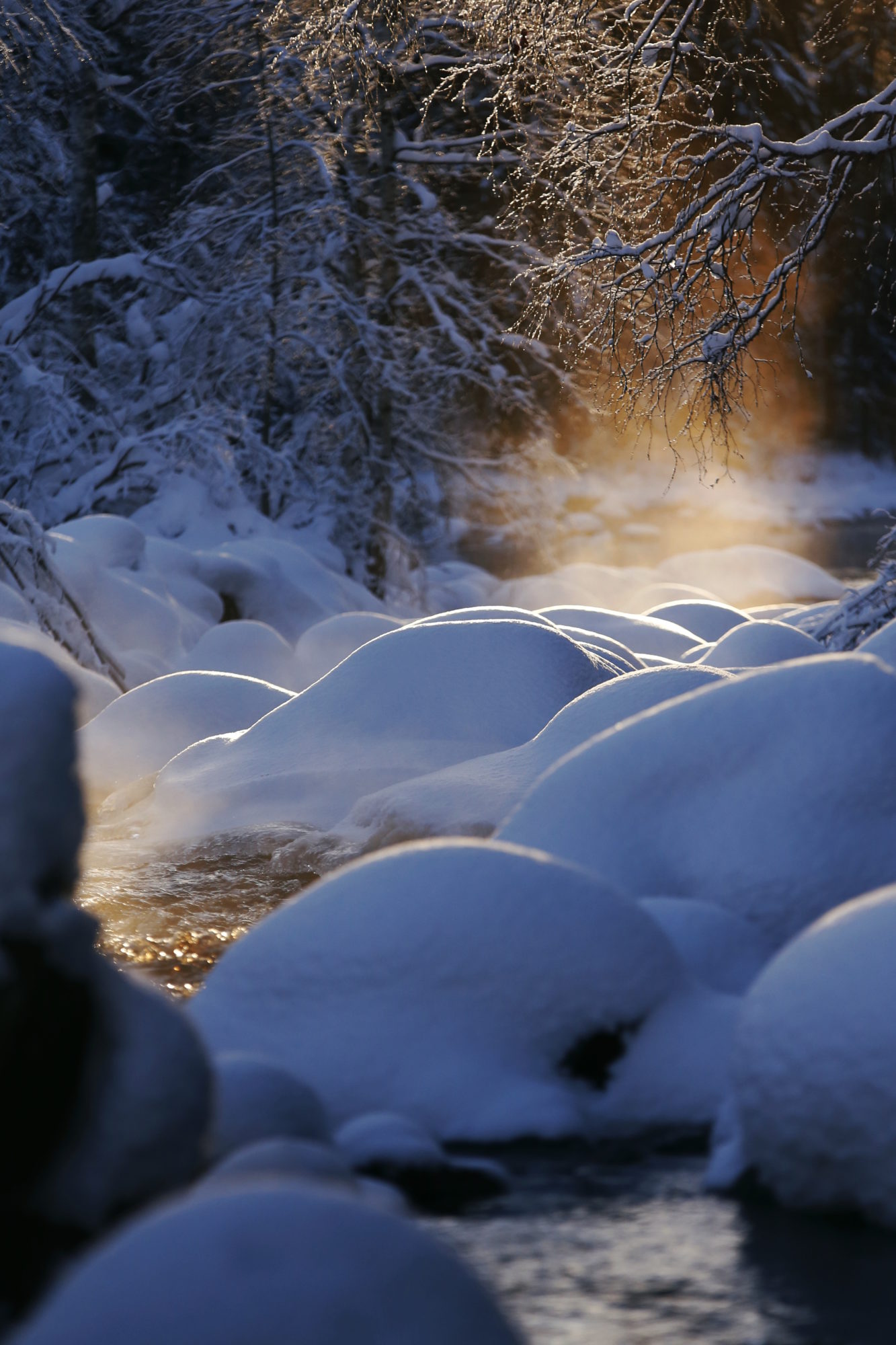 Valokuvaaja: Anne Moilanen