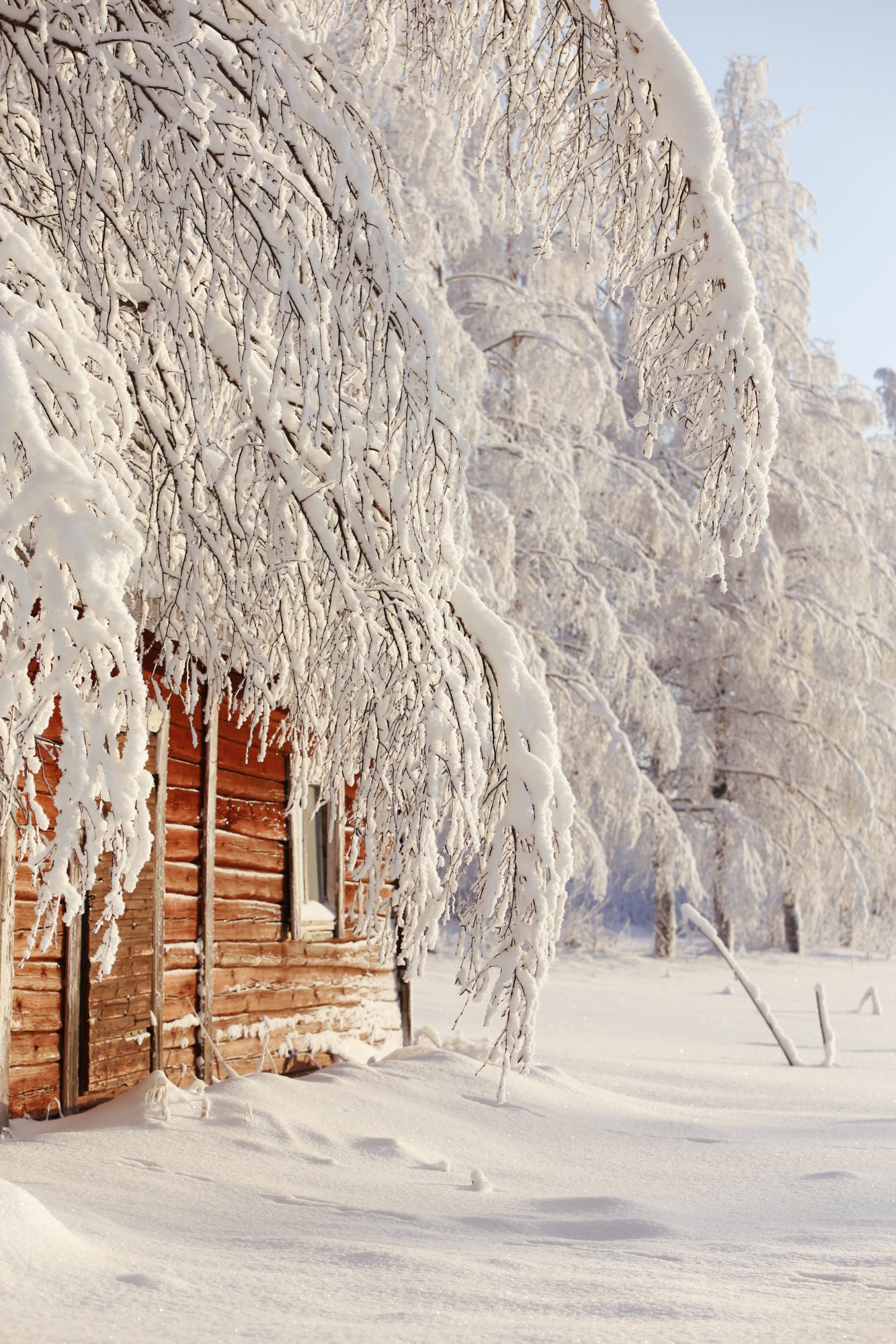 Valokuvaaja: Anne Moilanen