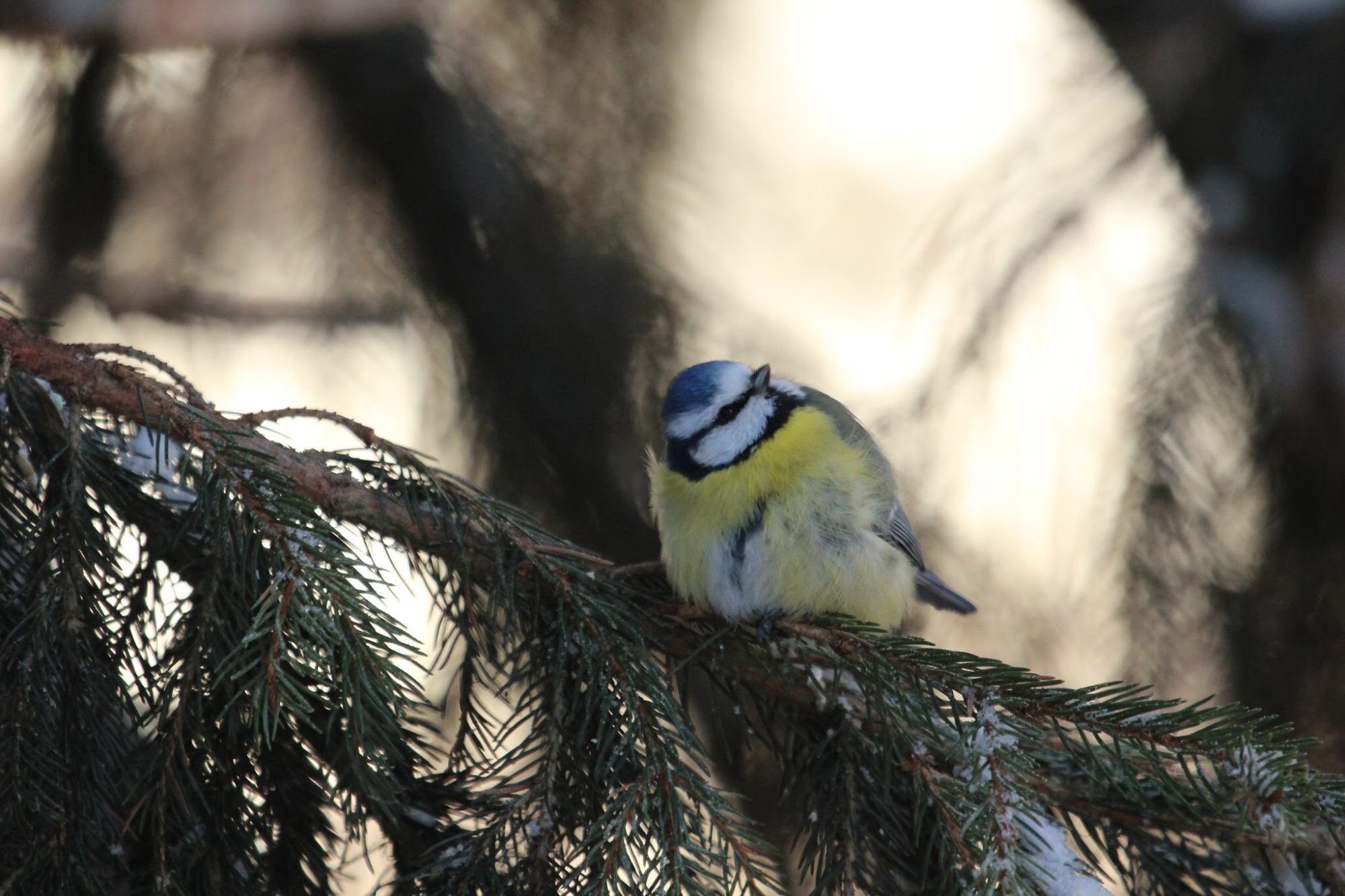 Valokuvaaja: Niko Sallinen