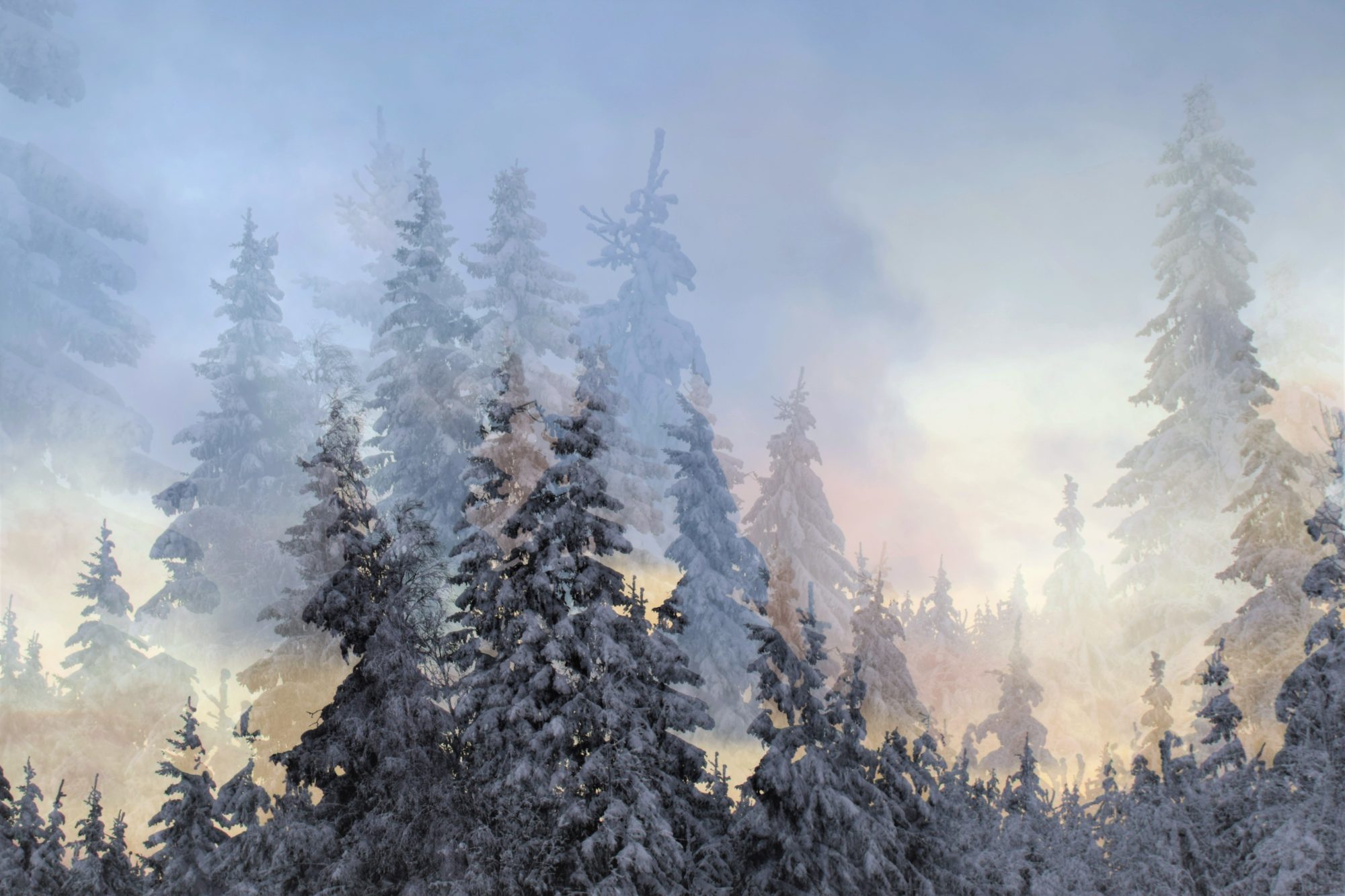 Valokuvaaja: Leena Rissanen