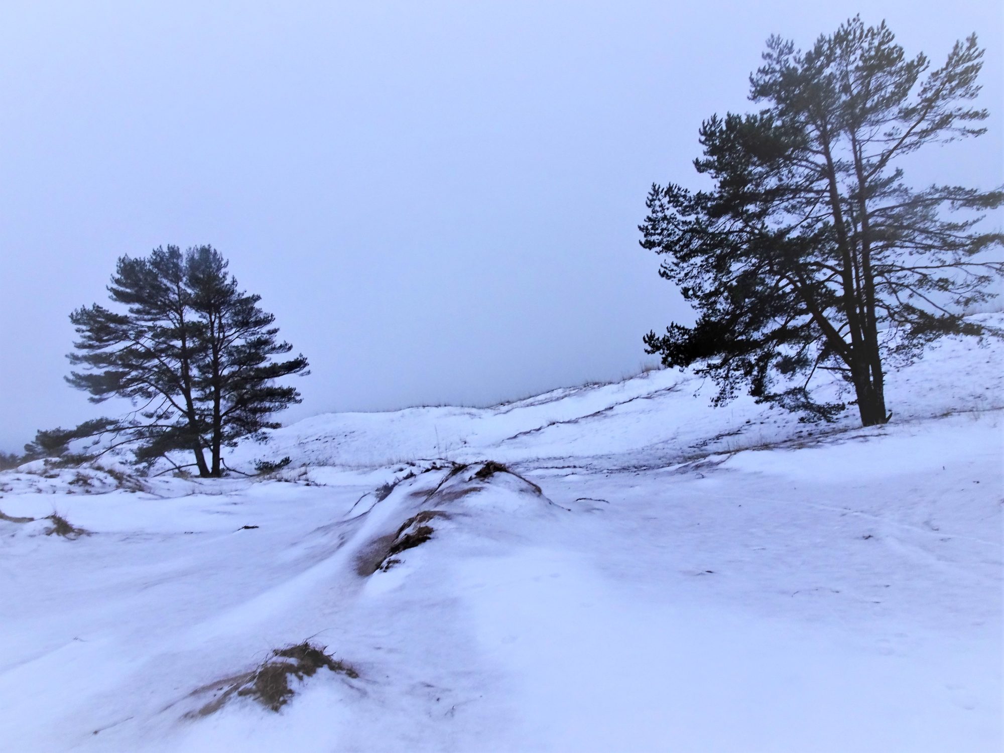 Valokuvaaja: Irja Lehtinen
