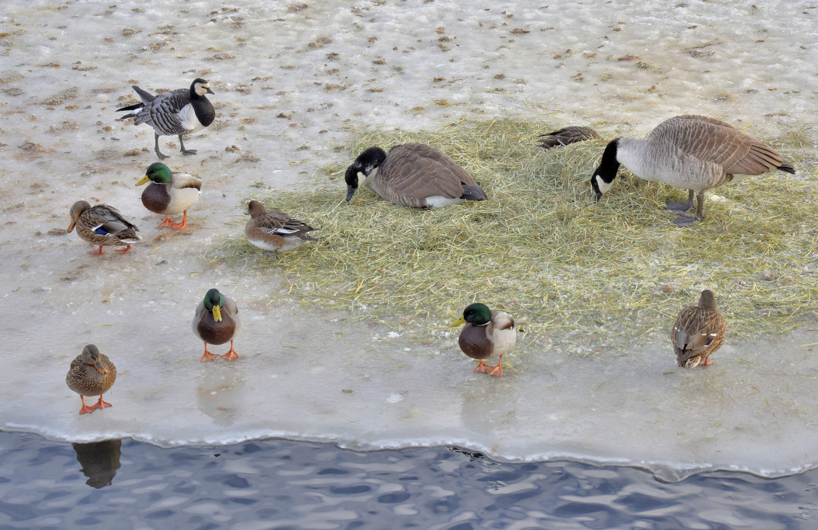 Valokuvaaja: Reijo Juurinen