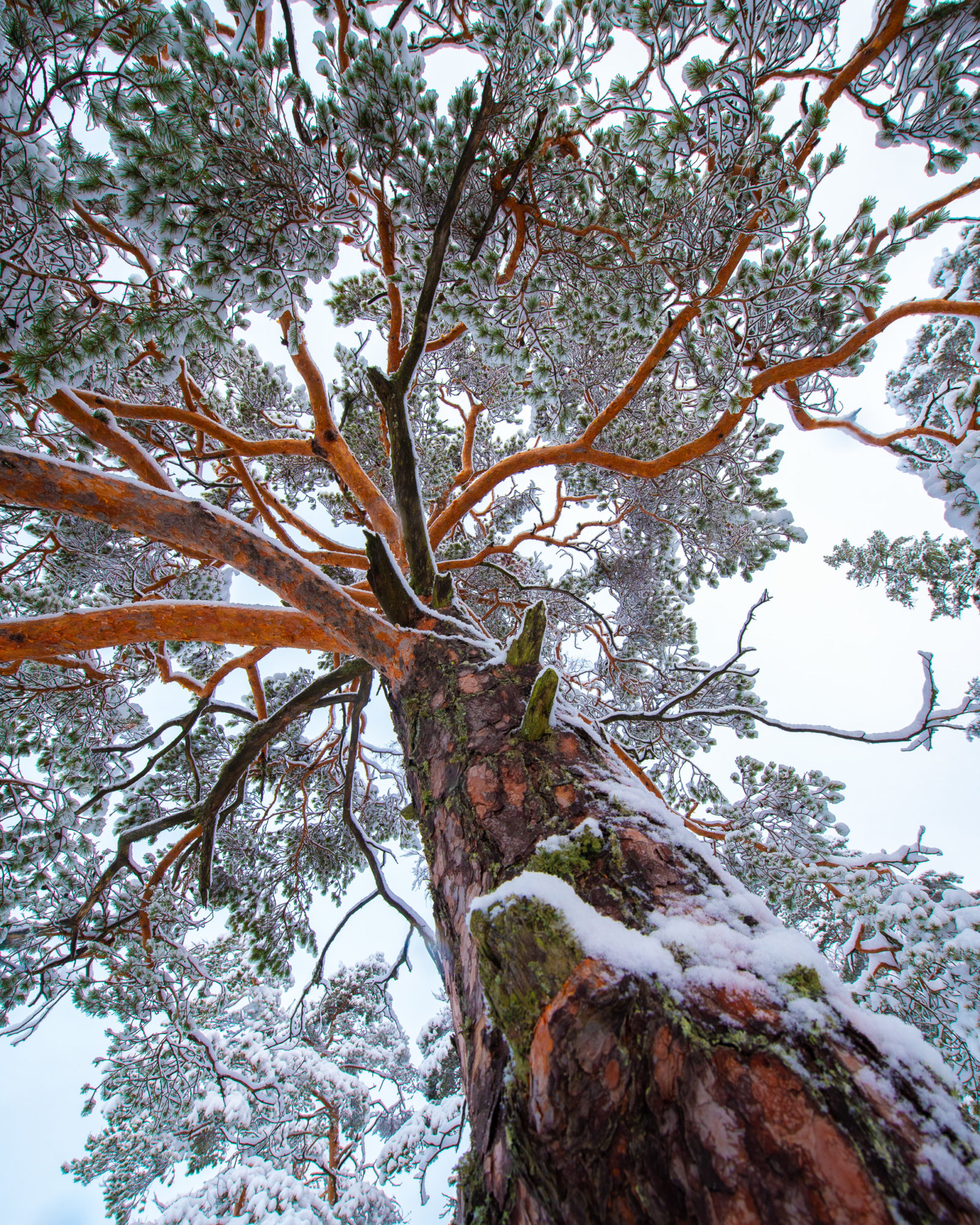 Valokuvaaja: Oscar Keserci