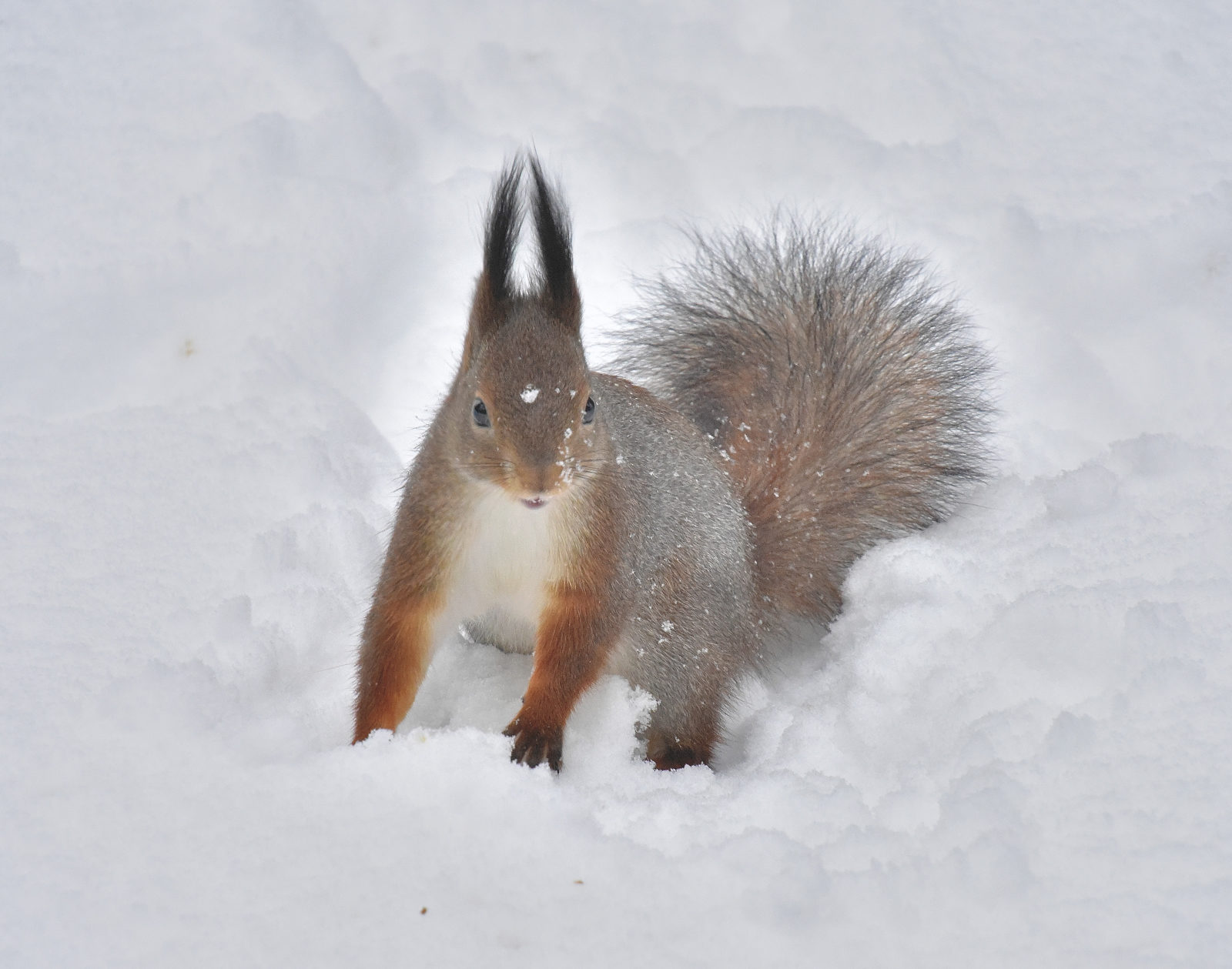 Valokuvaaja: Reijo Juurinen