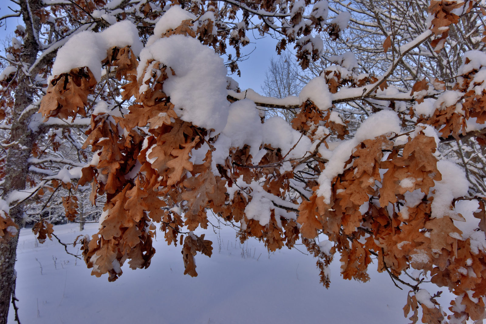 Valokuvaaja: Reijo Juurinen