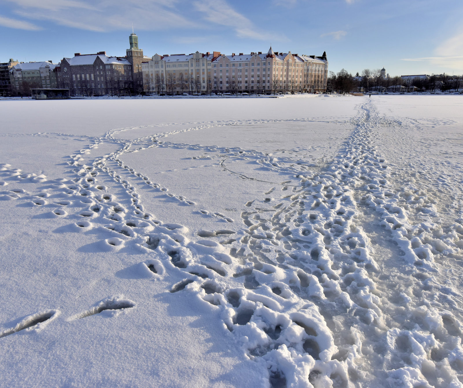 Valokuvaaja: Reijo Juurinen Valokuvaaja: Reijo Juurinen
