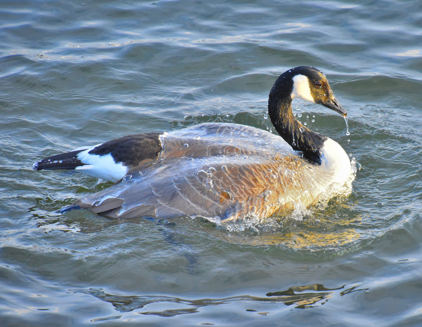 Valokuvaaja: Reijo Juurinen
