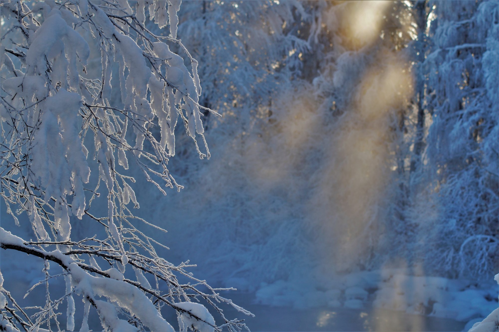 Valokuvaaja: Maarit Siitonen Valokuvaaja: Maarit Siitonen